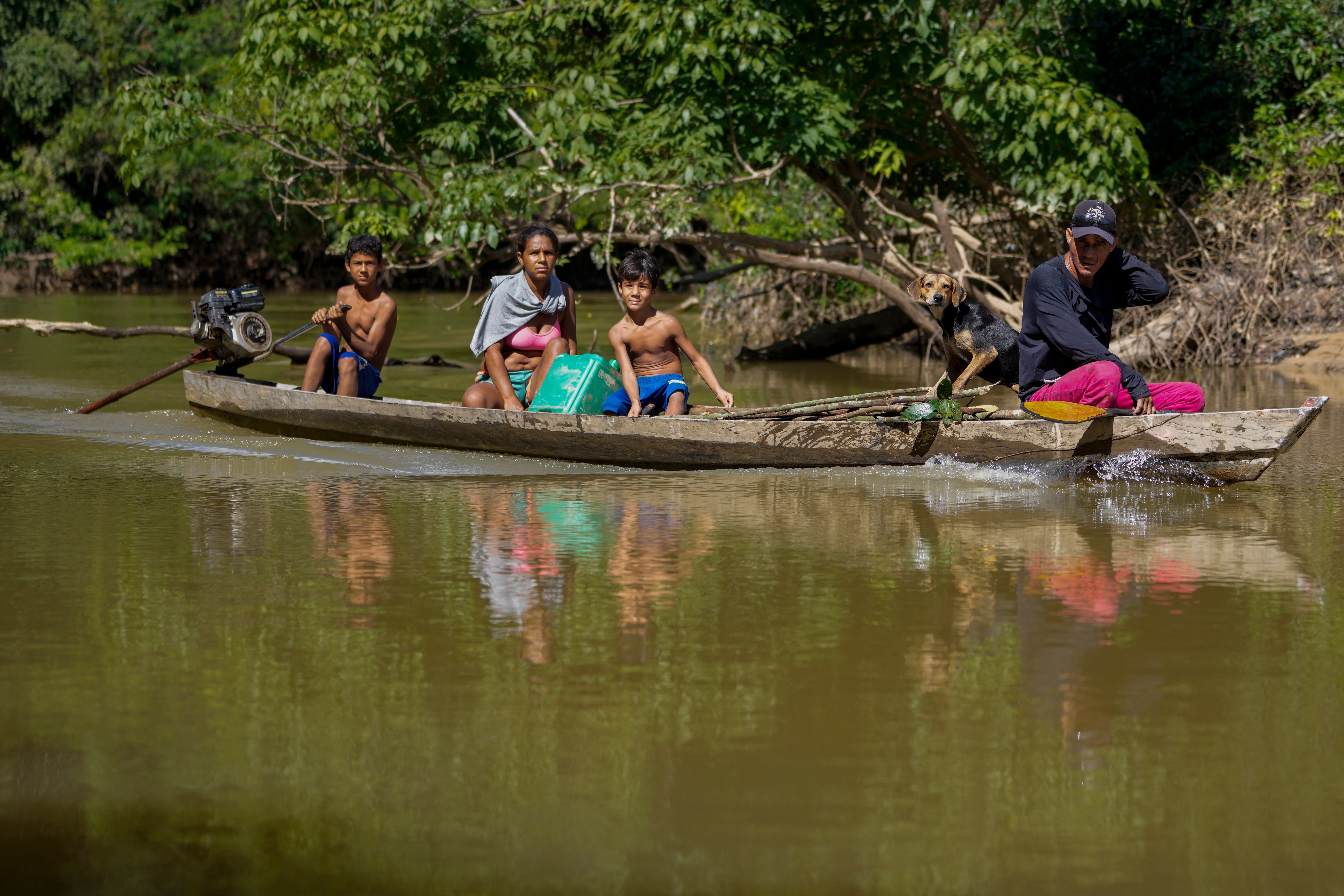 Brazil Cattle Deforestation Prosecution