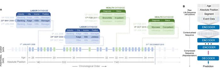 A schematic individual-level data representation for the life2vec model