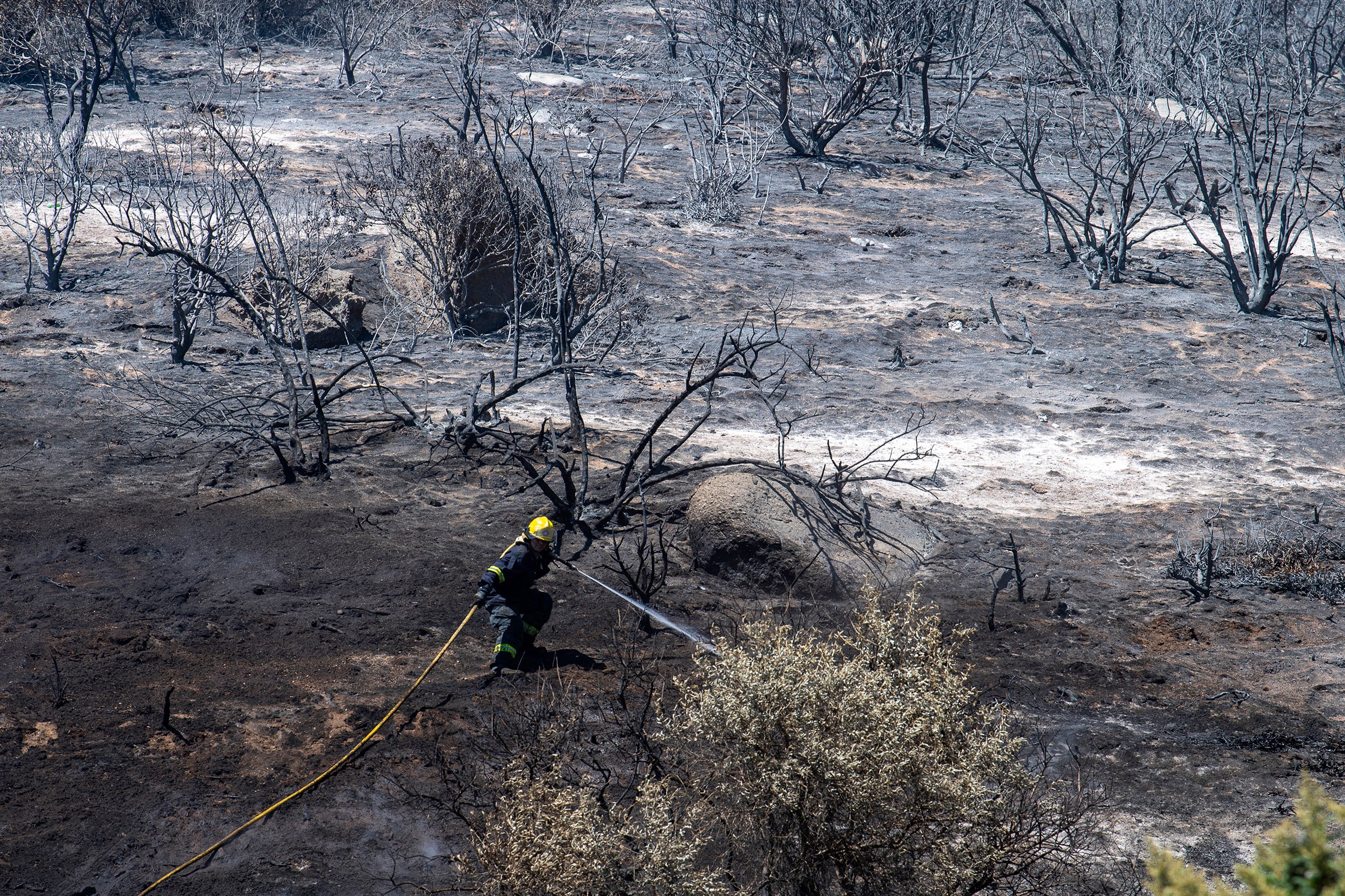 South Africa Wildfire