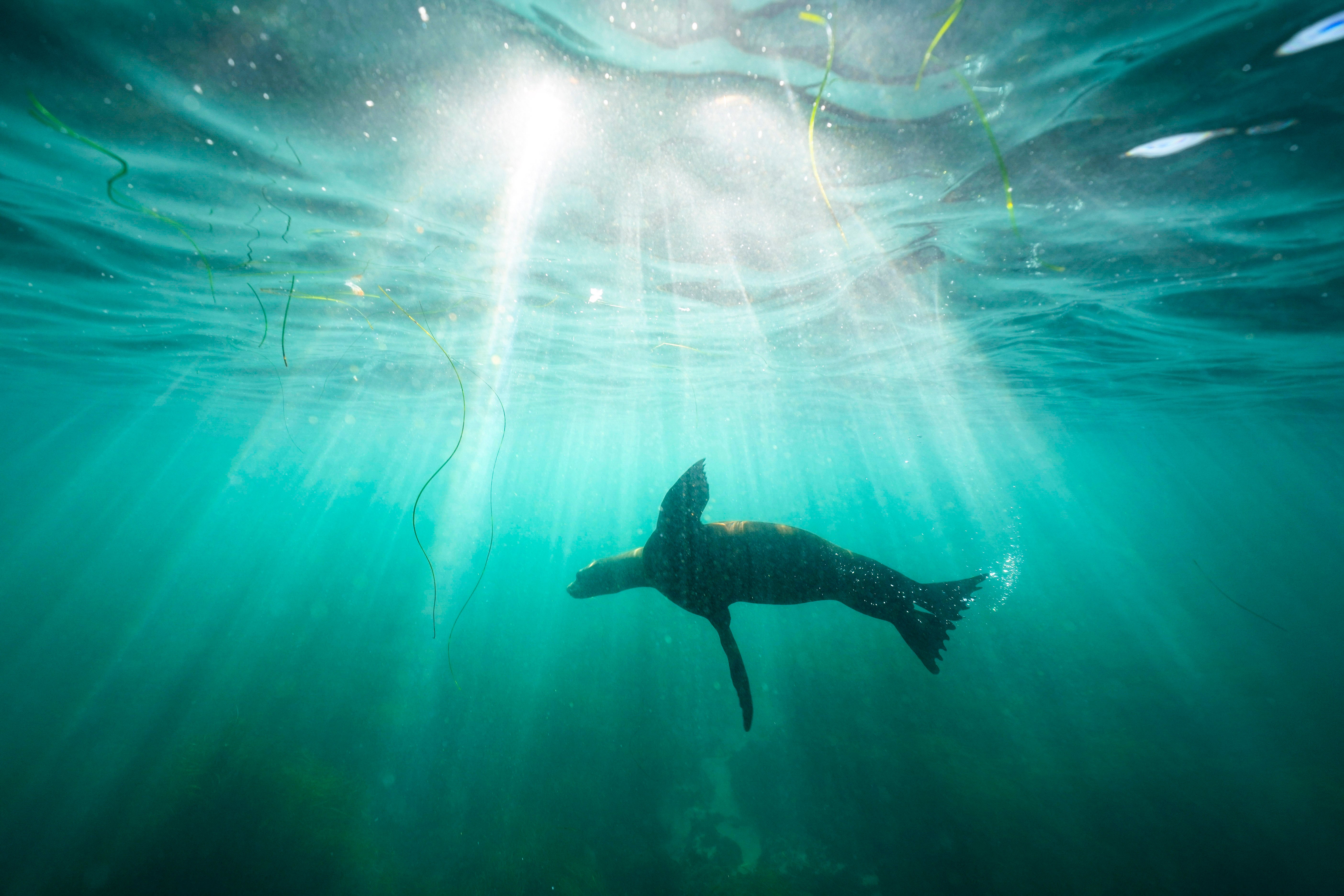 YE Top Photos North America 2023