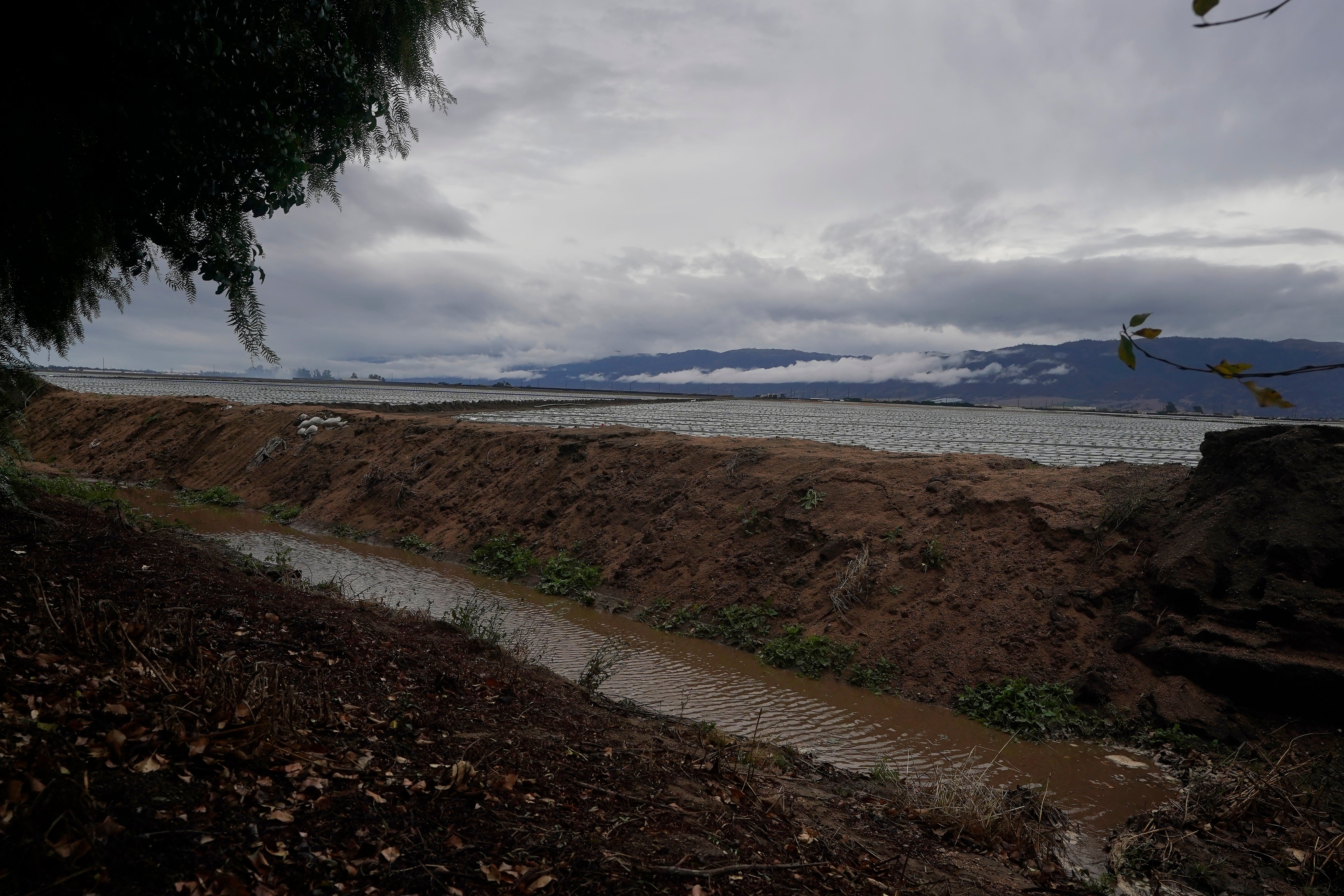 California Farming Water Pollution