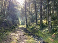 Walking with gods in the Greek Peloponnese