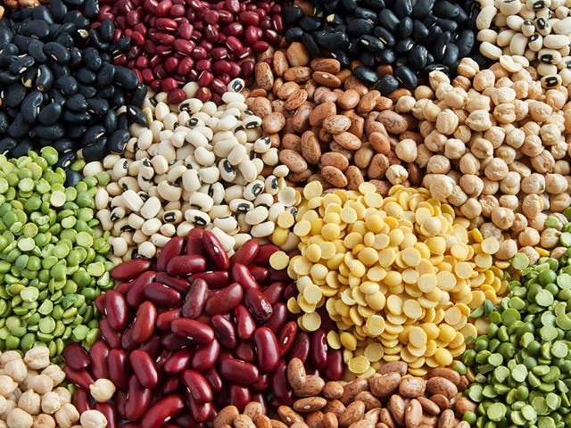 <p>‘Beans are a climate-positive solution that help tackle the global food, climate and cost of living crises’ </p>