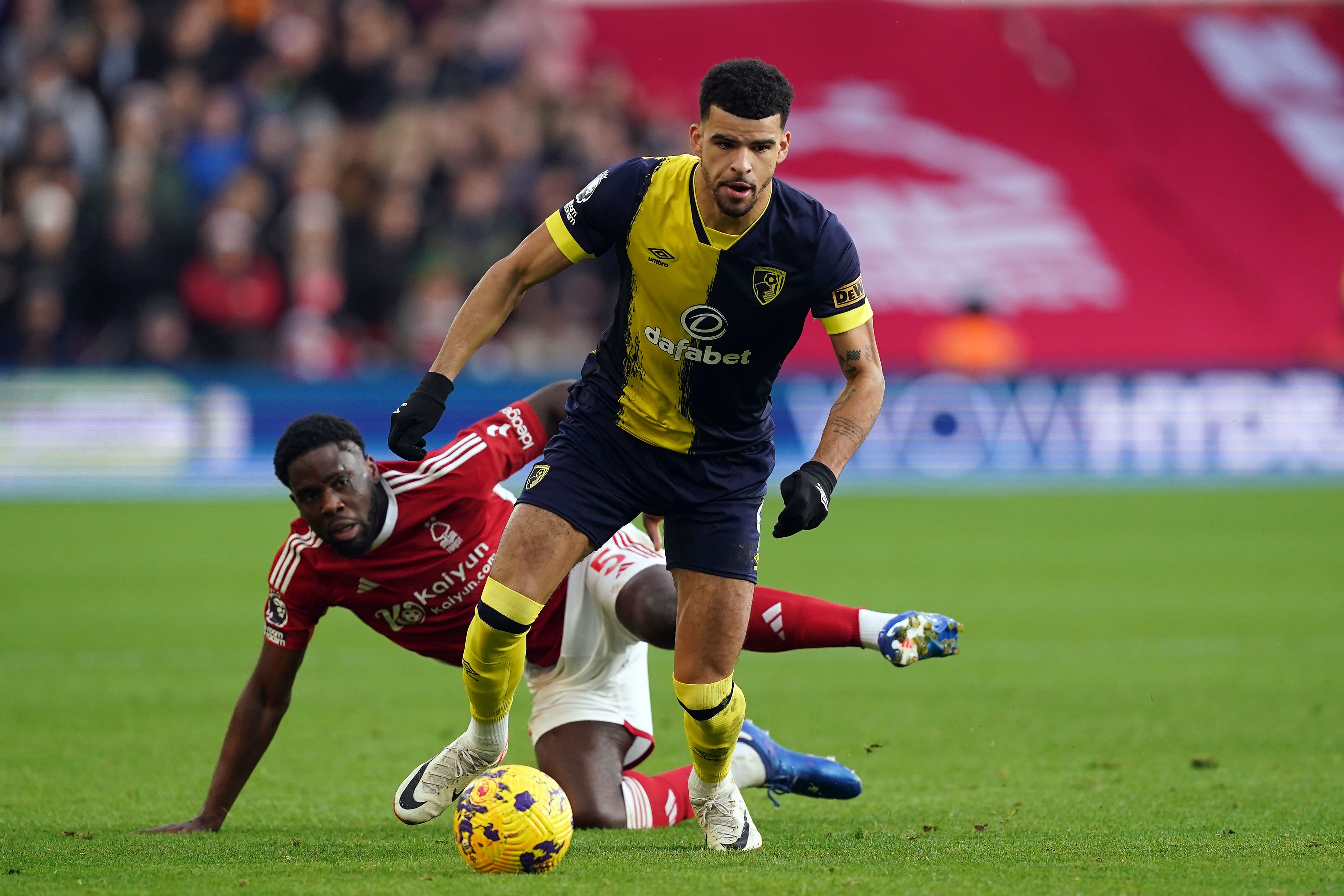 Dominic Solanke is a target for Tottenham