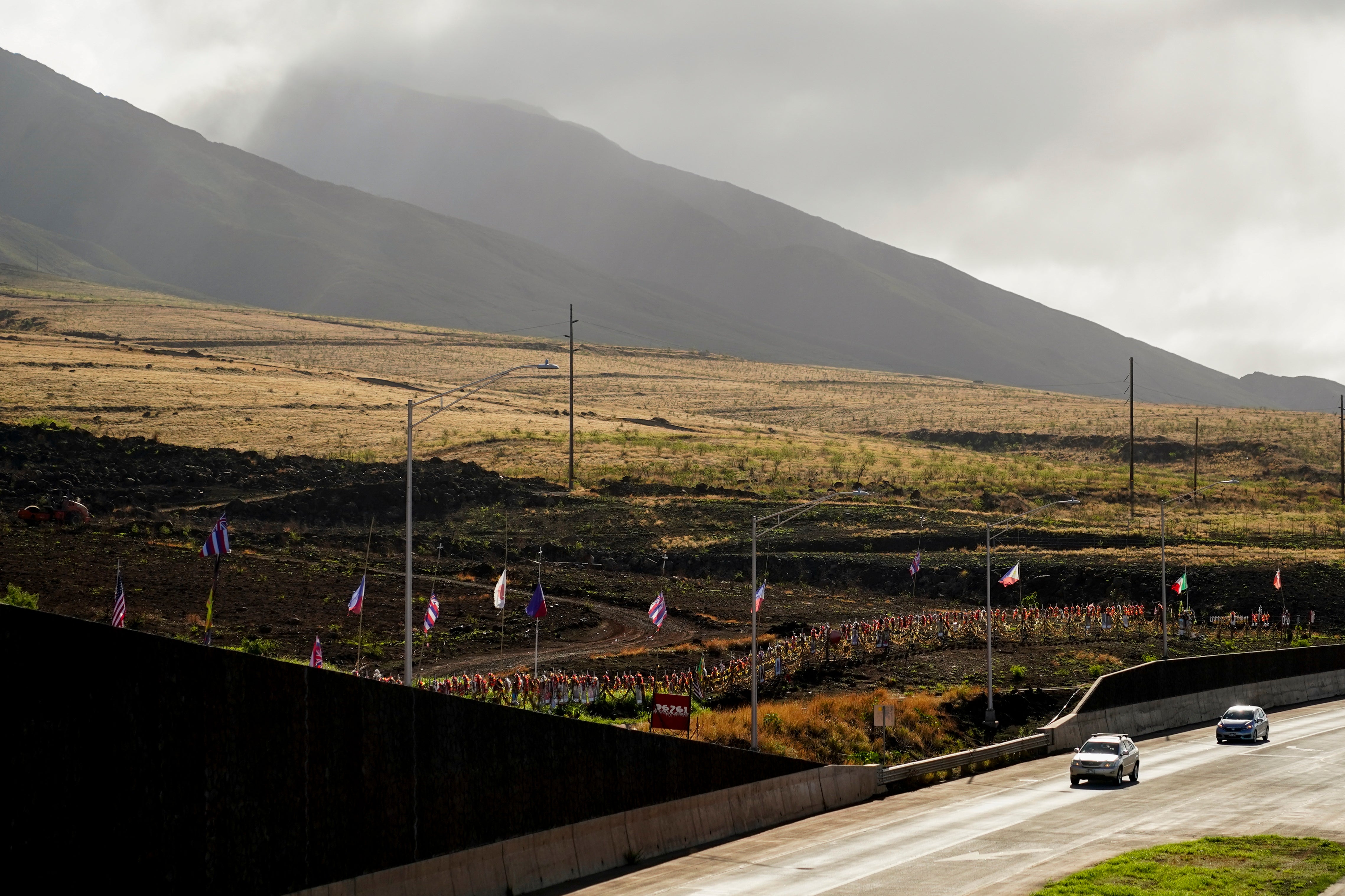 Hawaii Wildfire The Vulnerable