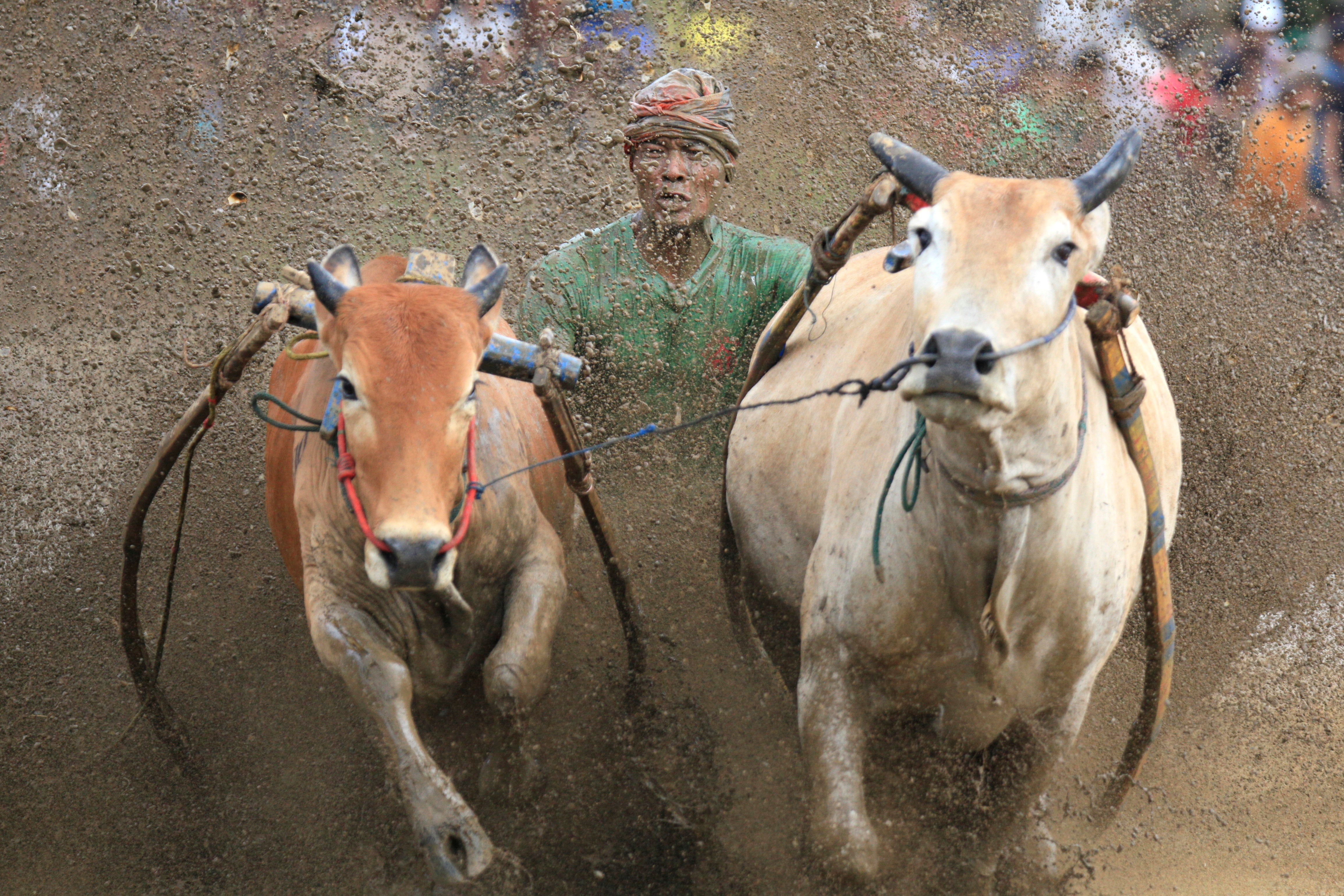 Pictures of the Week Global Photo Gallery