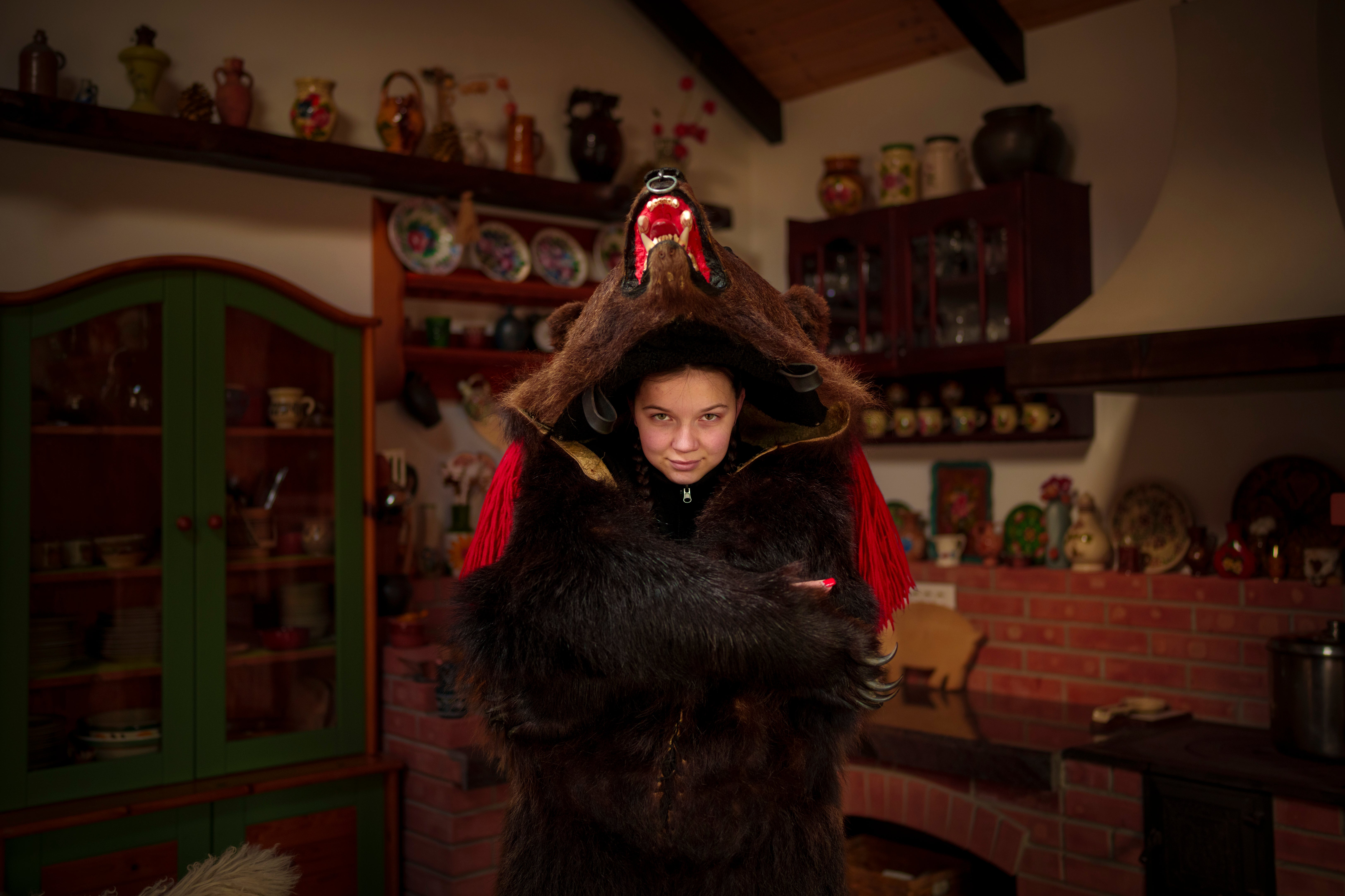 Romania Bear Pack Portrait Photo Gallery