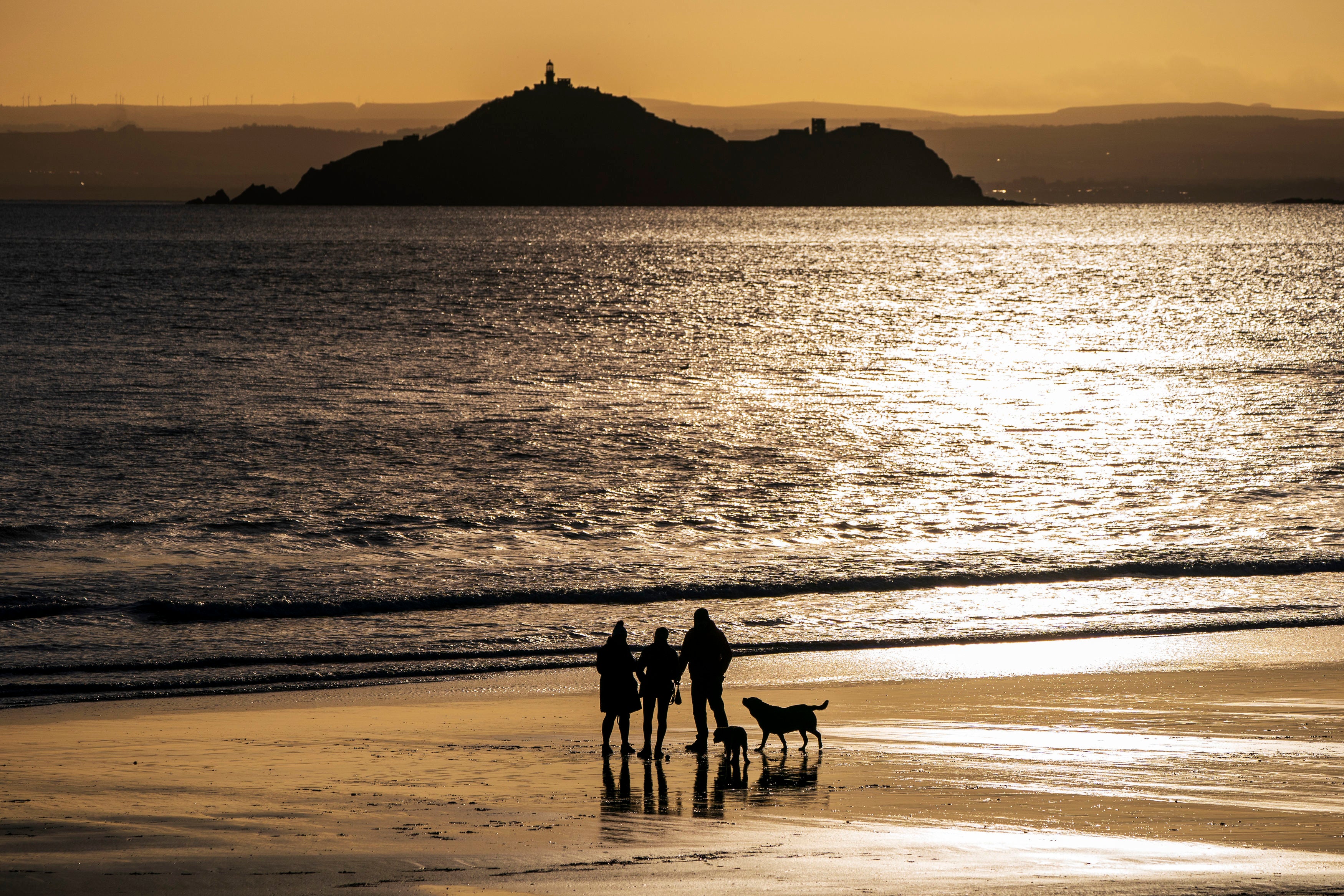Dog walkers on the beach at Kinghorn in Fife