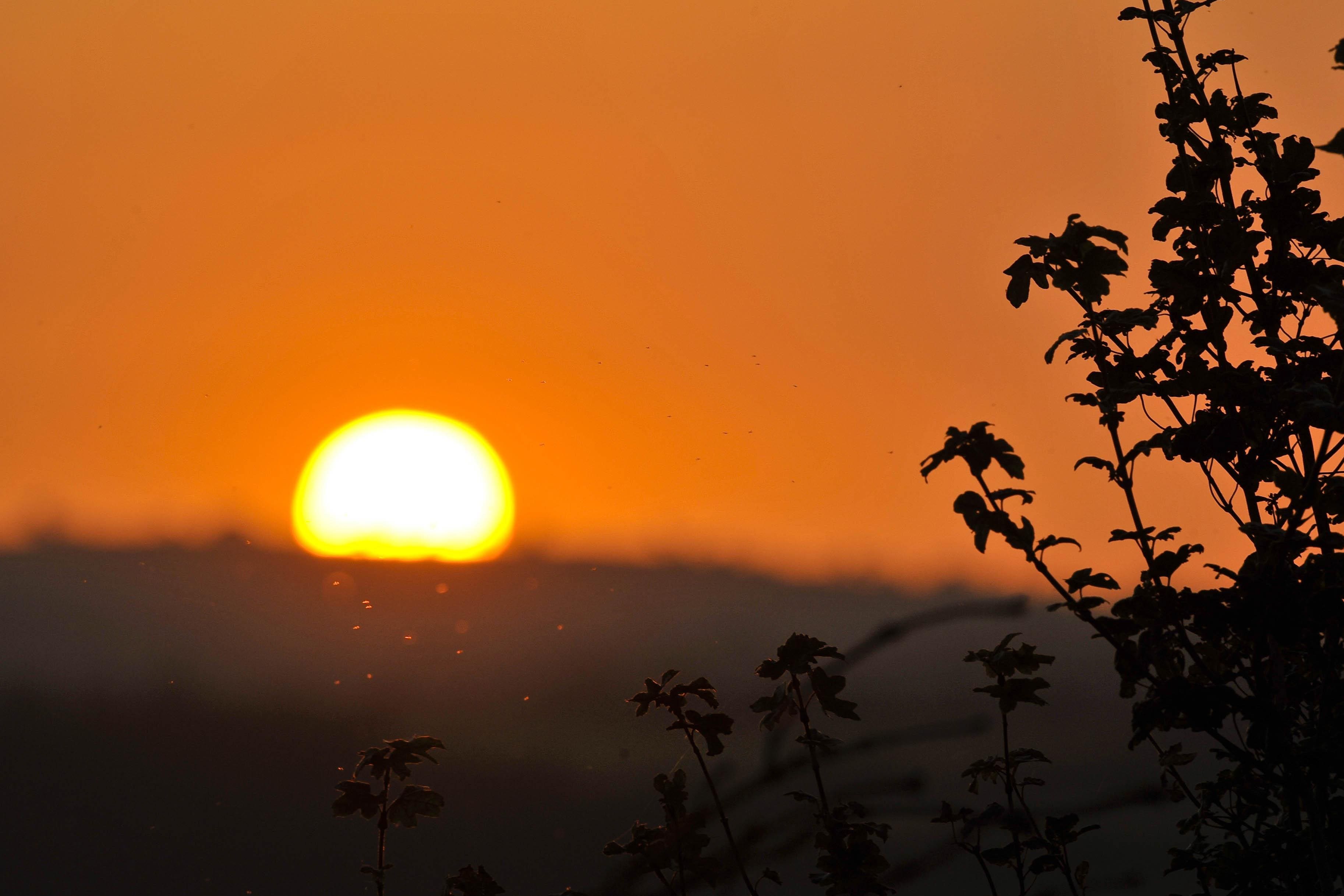 Provisional figures show 2023 was one of the hottest years for the UK so far (Ben Birchall/PA)