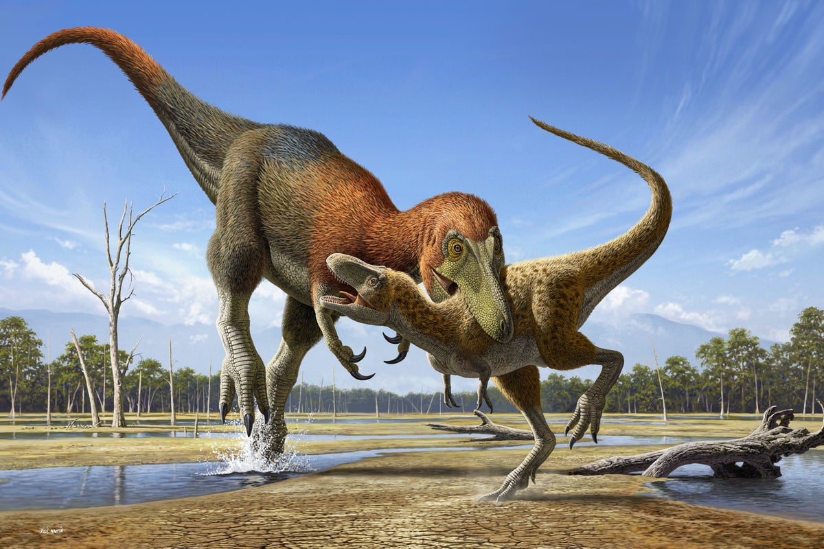 Tyrannosaurus rex could beat Usain Bolt in 100m sprint by running on tip-toes, study claims