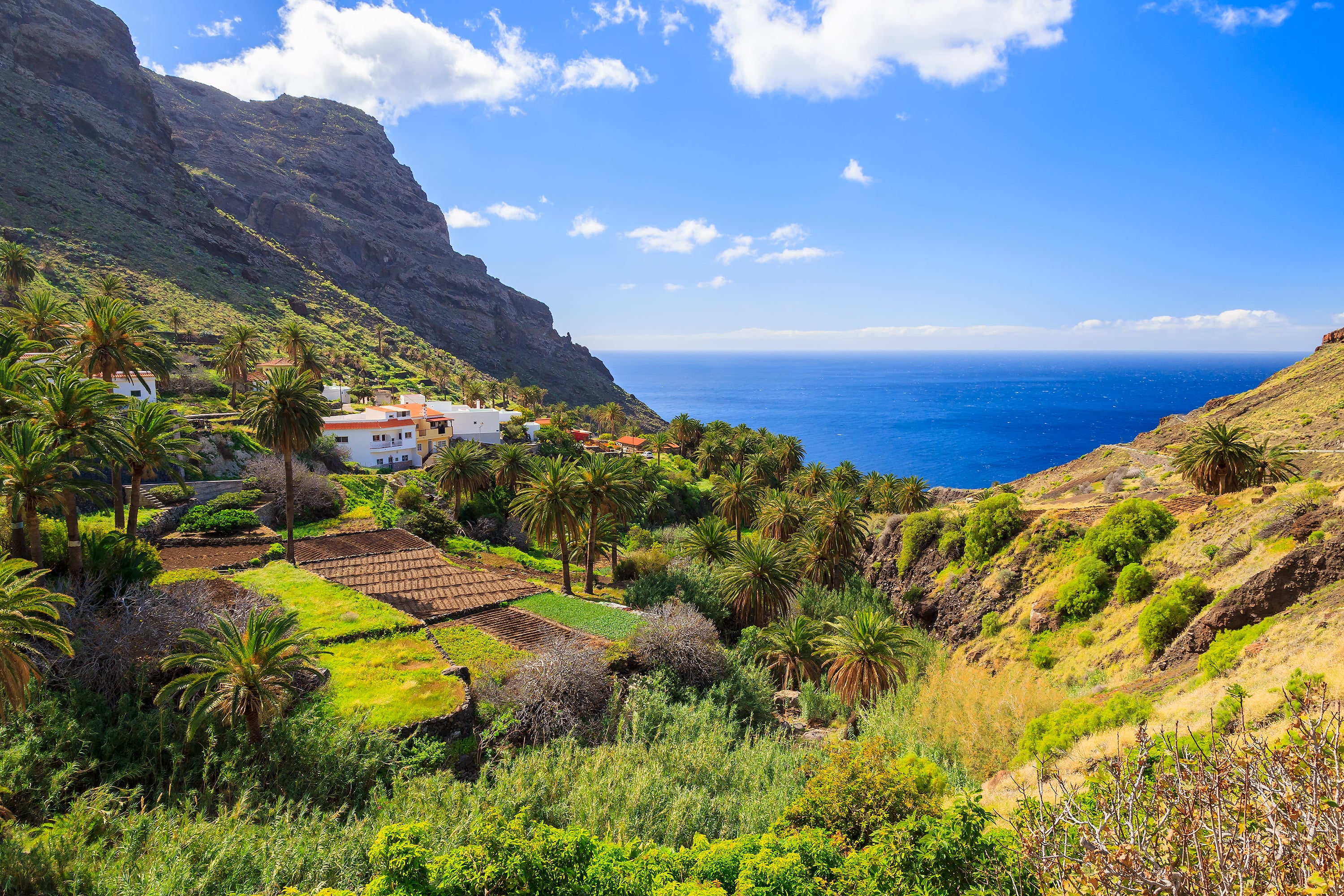 The El Silbo whistling language was developed in La Gomera by farmers communicating across its steep ravines