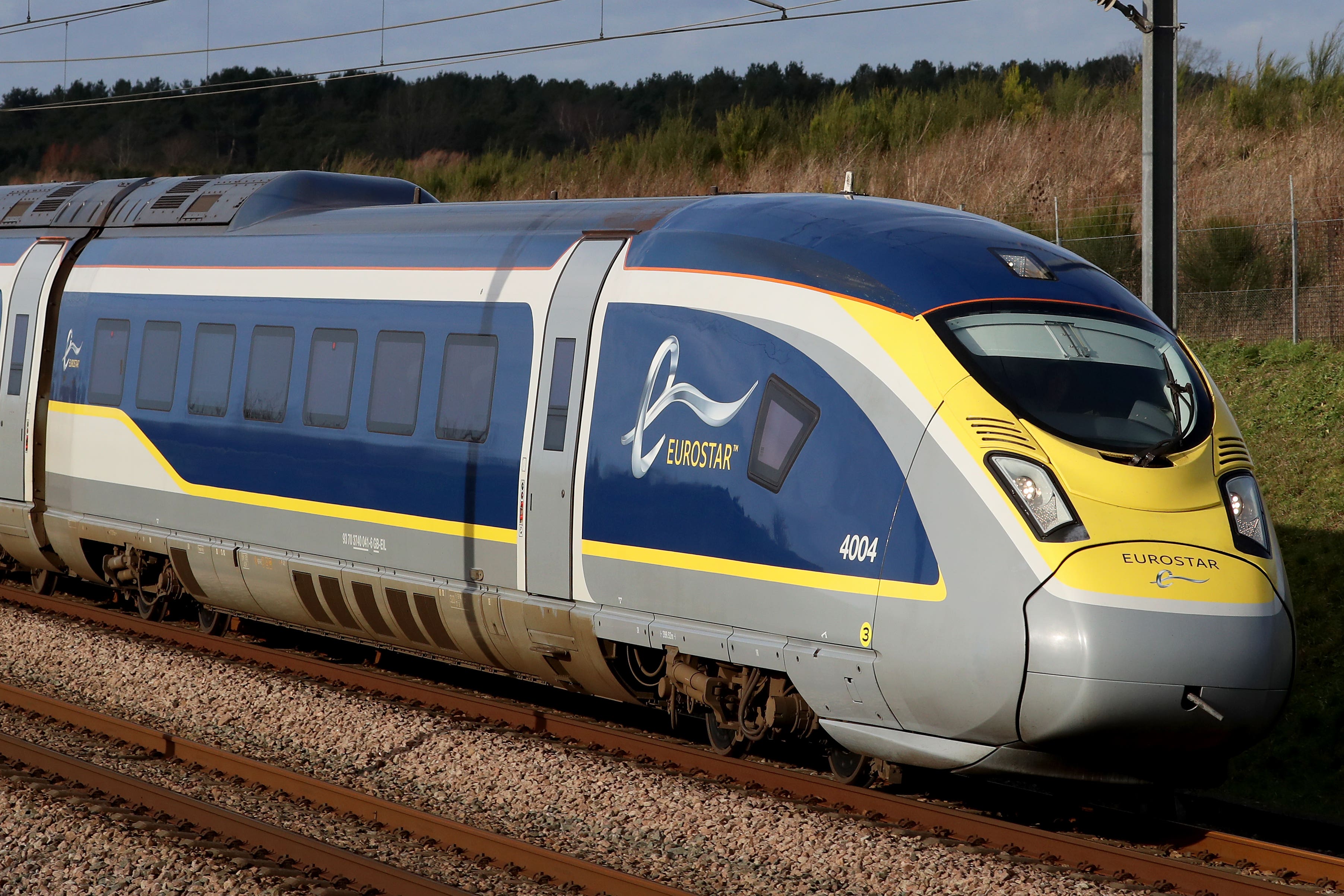 Eurostar said their focus for the near future is on the ‘European market’