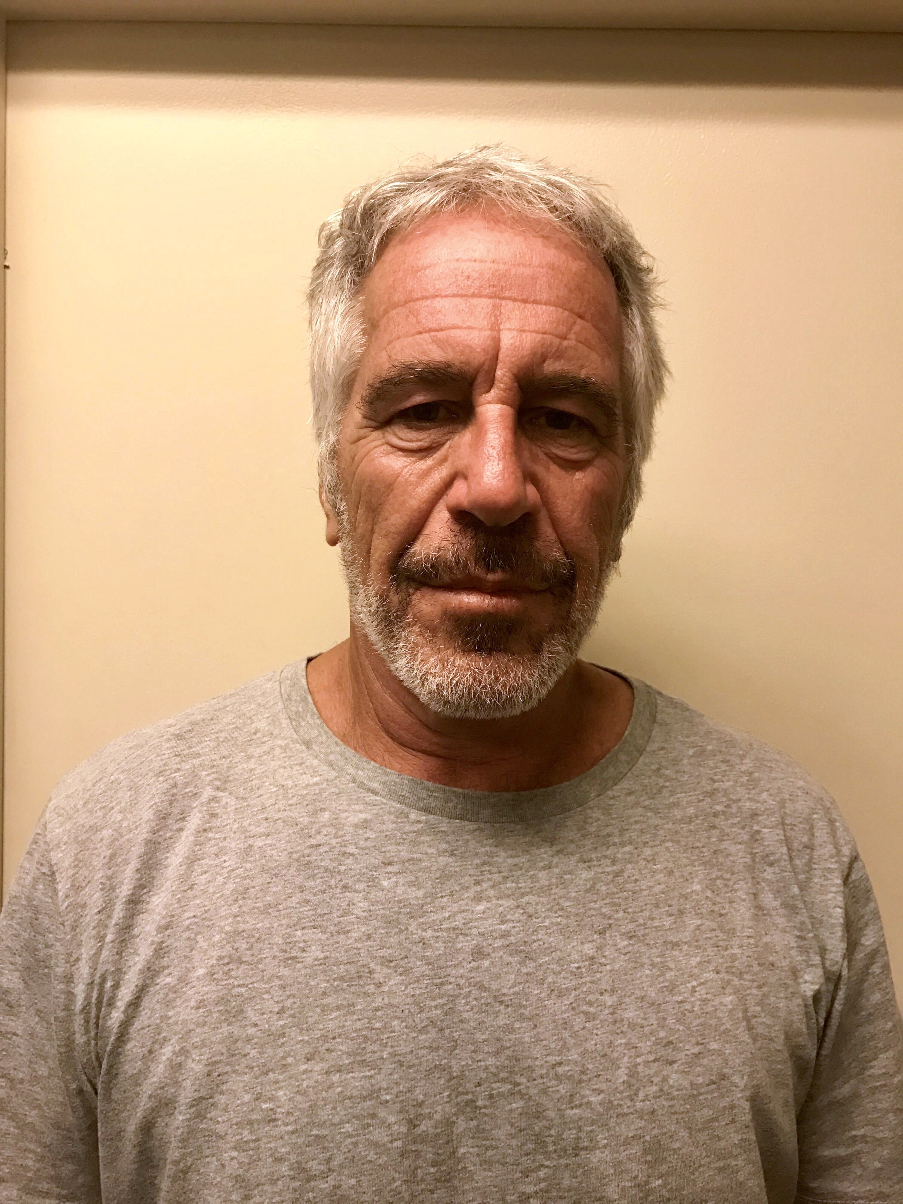 Mr Trump and Epstein reportedly fell out in the 1990s