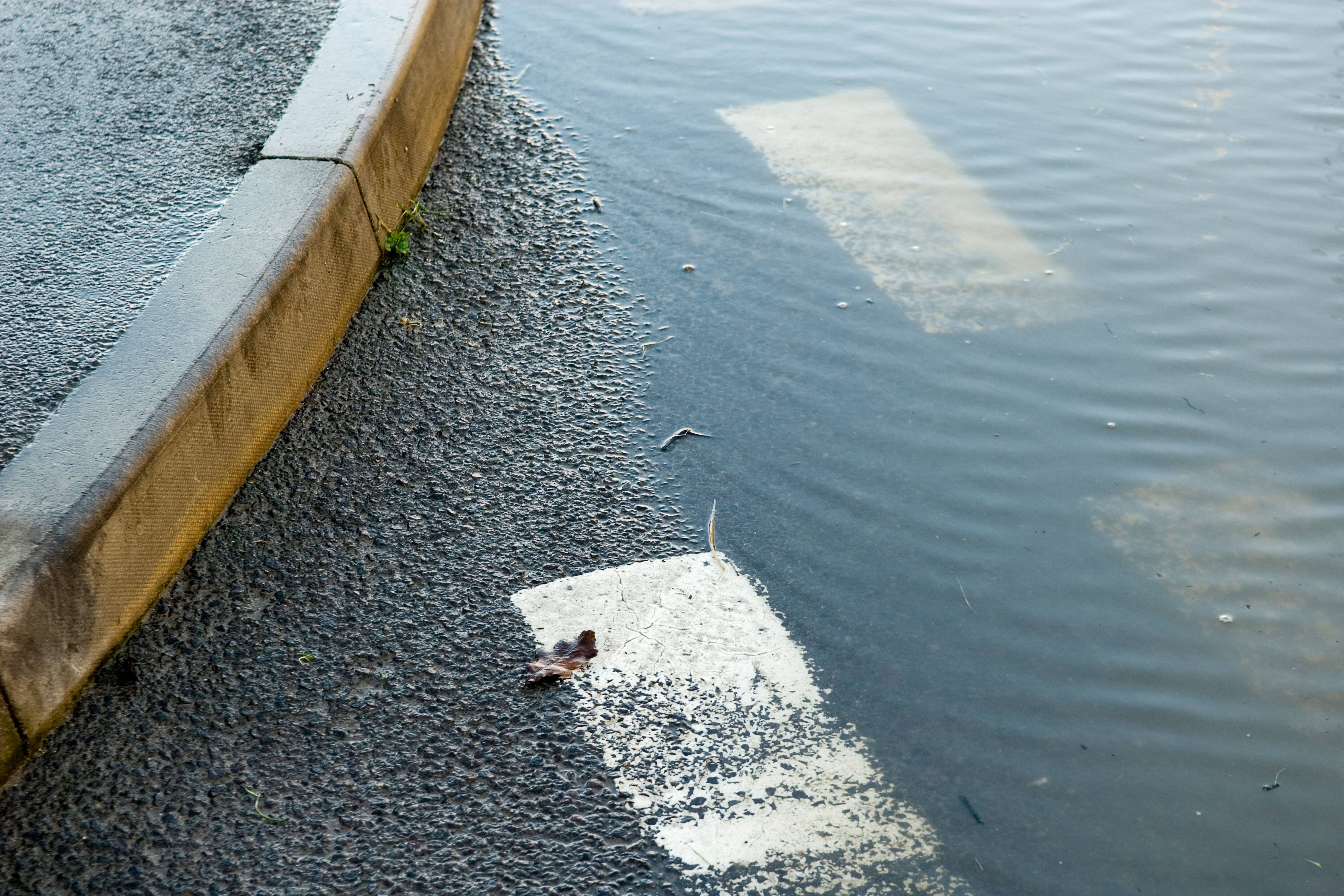 Original artwork and thousands of pounds worth of books were reportedly damaged by the flood, said to have been caused by the banks of a nearby canal bursting after a night of heavy rain (File image/Alamy/PA)