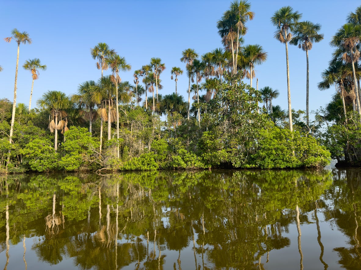 Puerto Maldonado is just 34 miles away from the Bolivian border