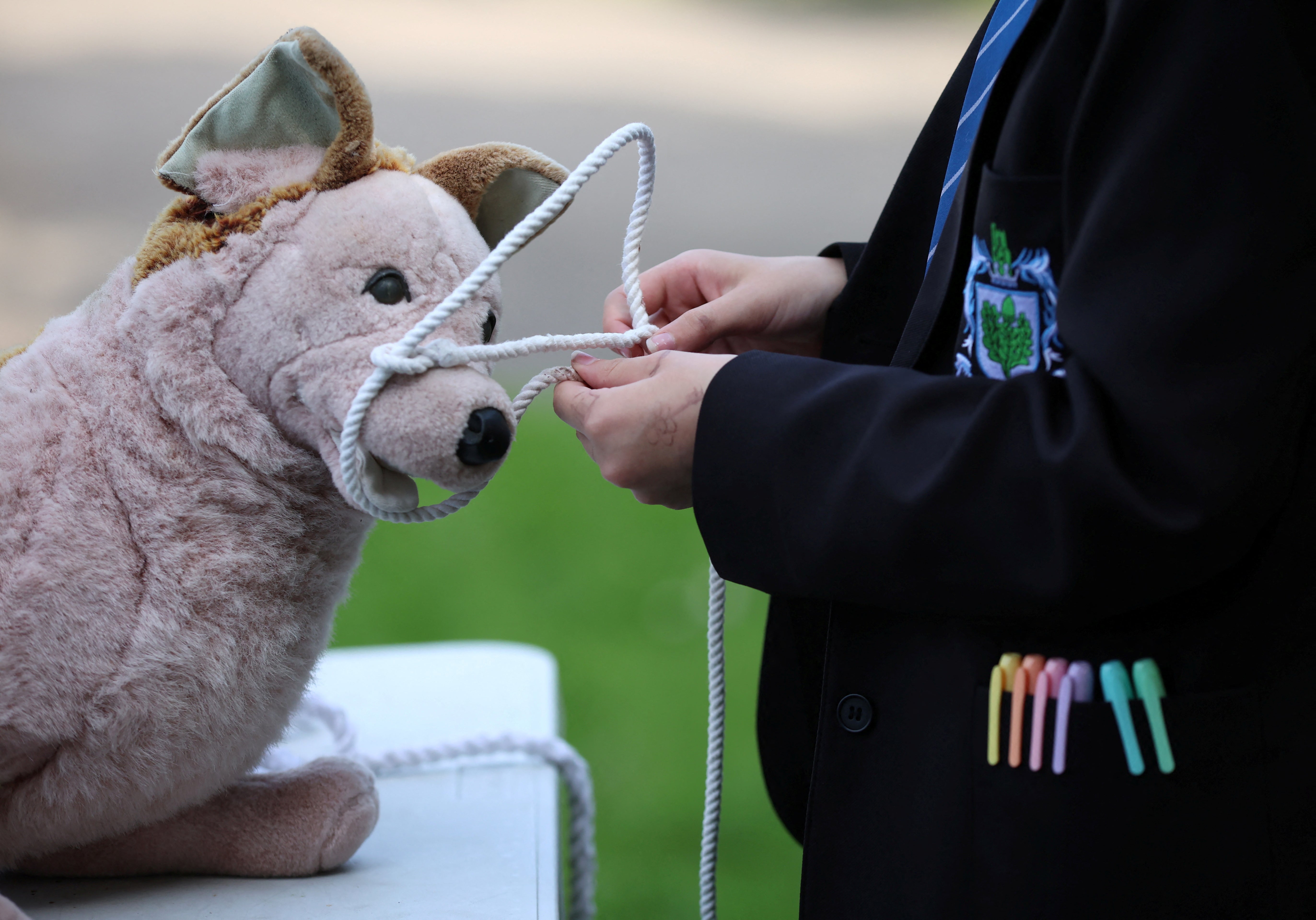 Megan uses a stuffed toy dog to practise her head-collaring technique