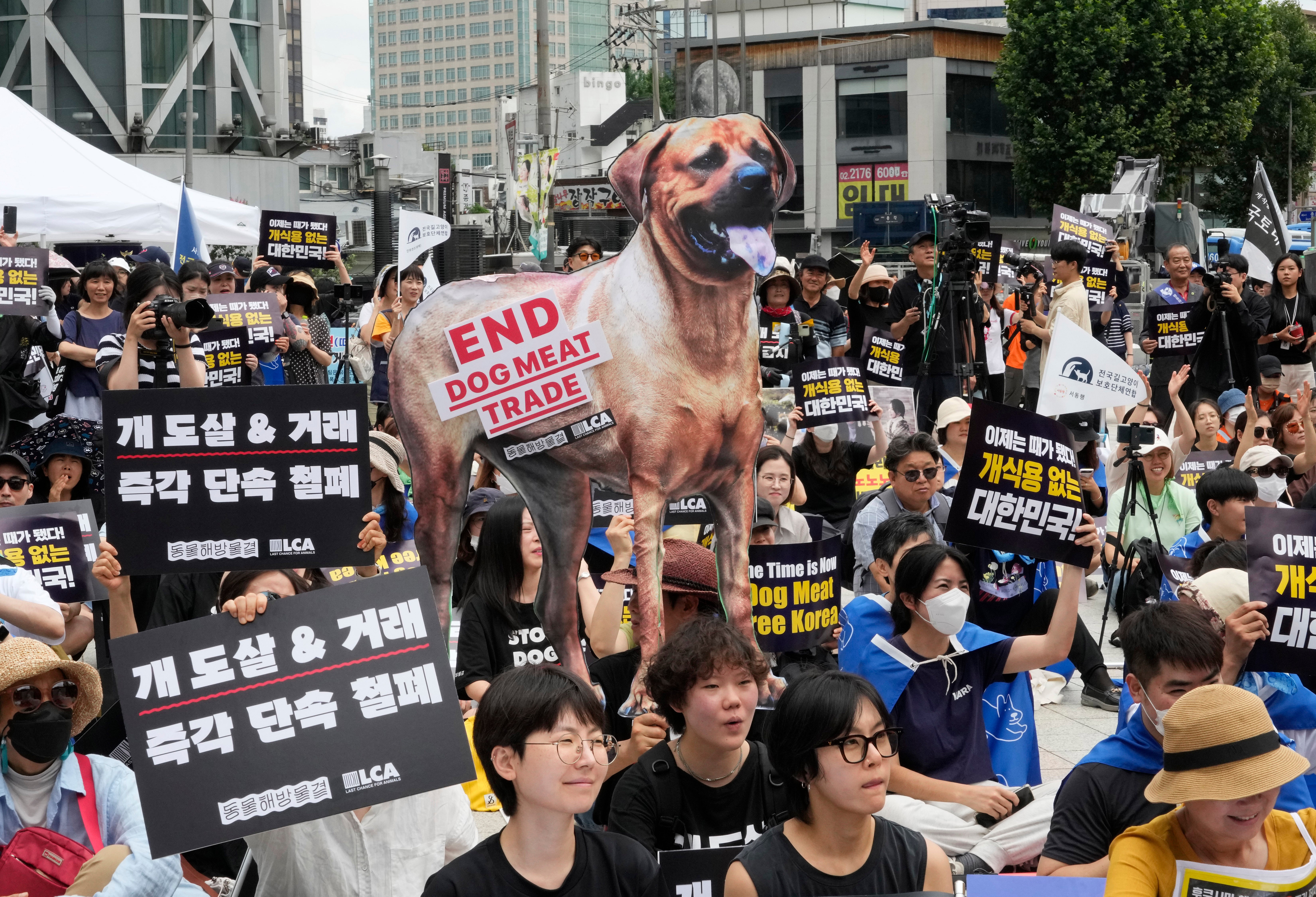 South Korea Dog Meat