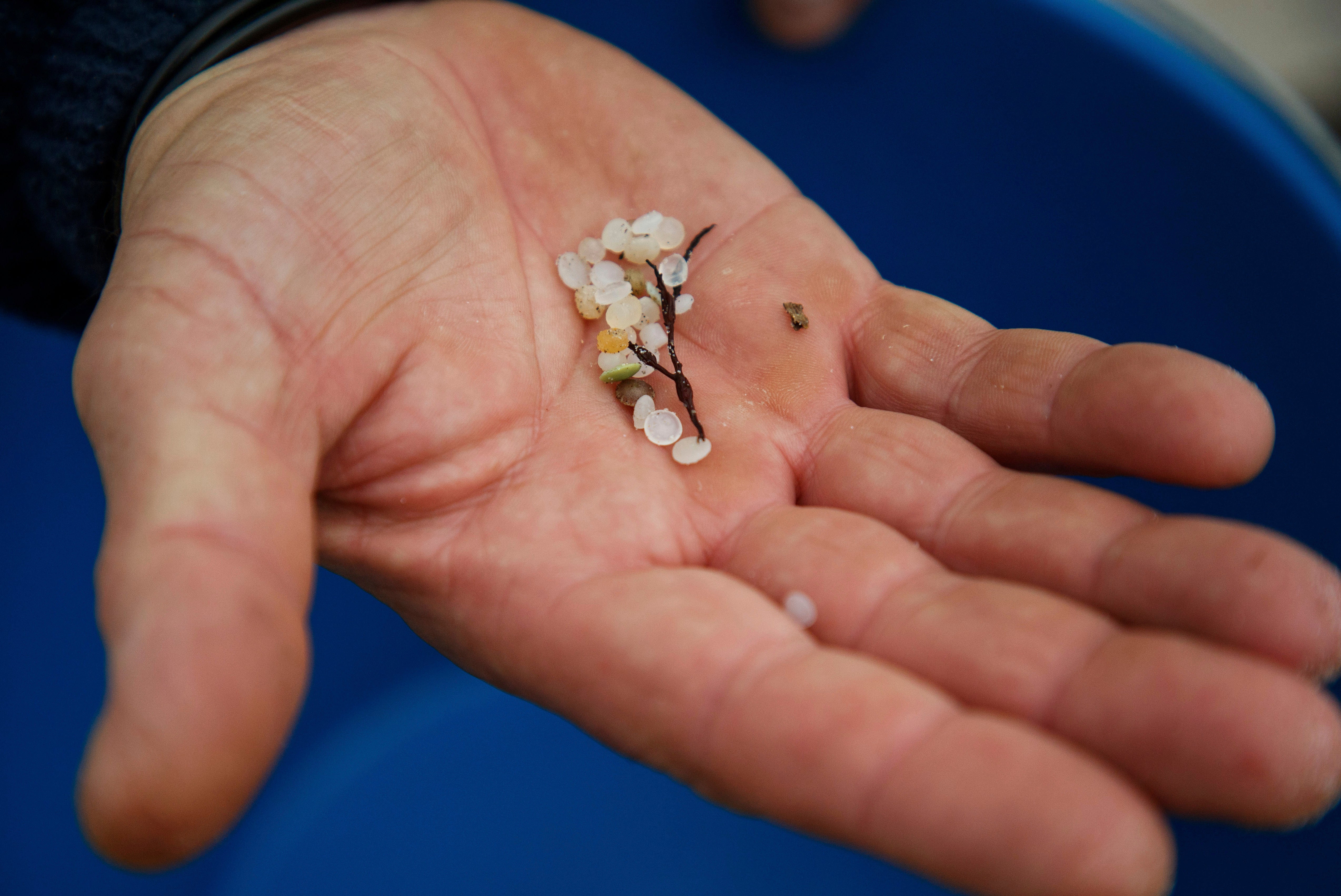 Spain Plastic Pollution