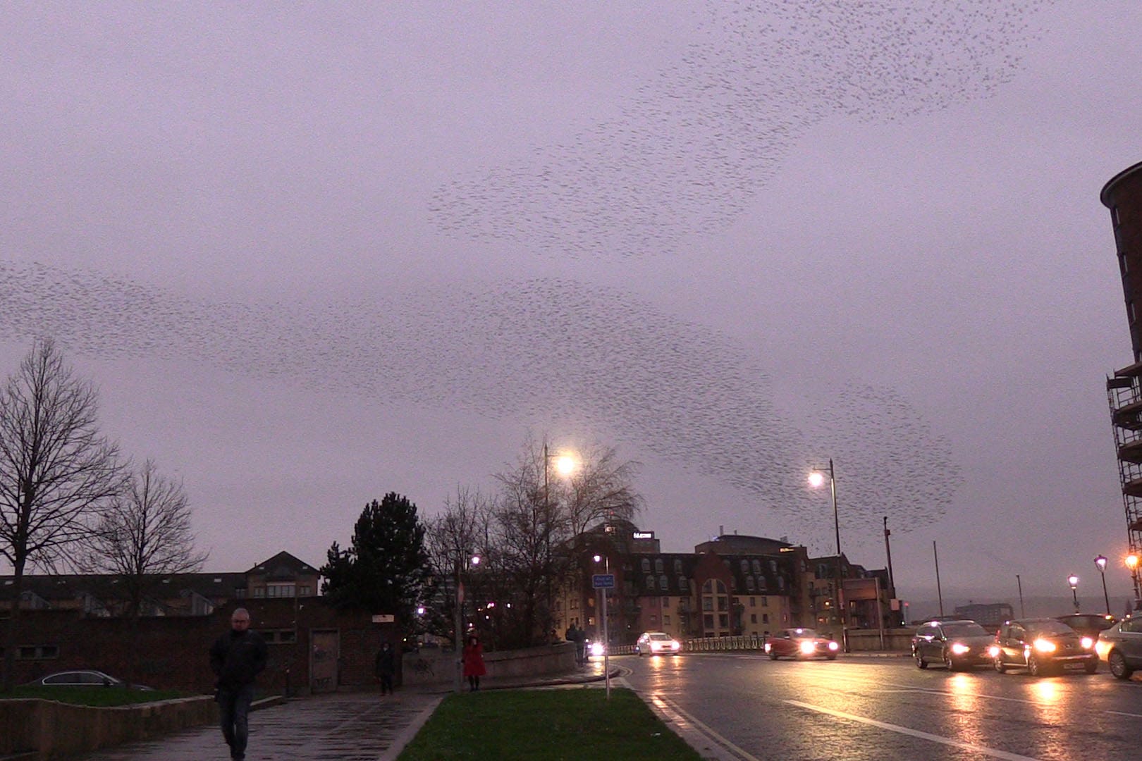 A murmuration of starlings over the Albert Bridge in Belfast city centre (David Young/PA)