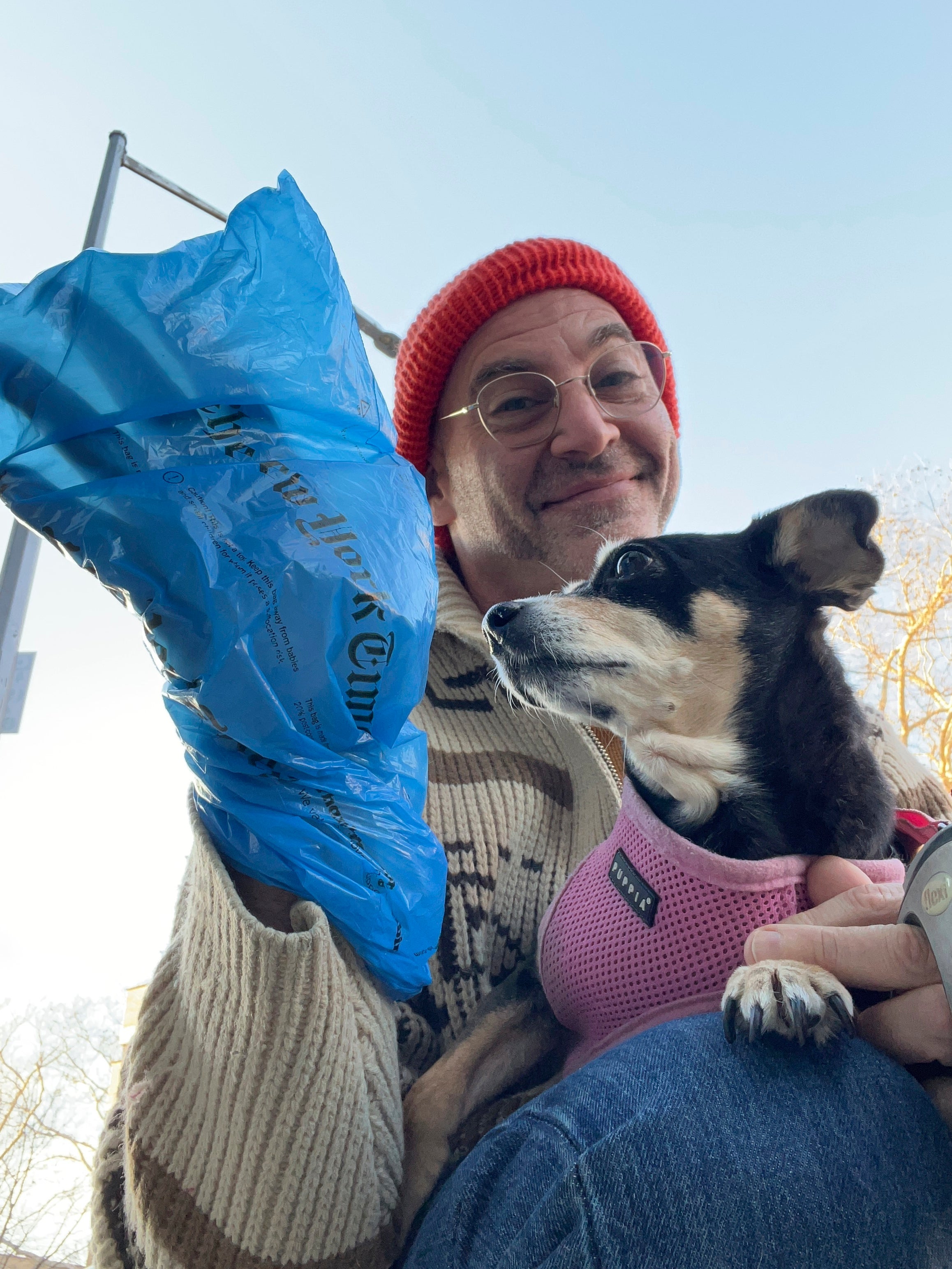 New Year Sustainable Home Small Steps