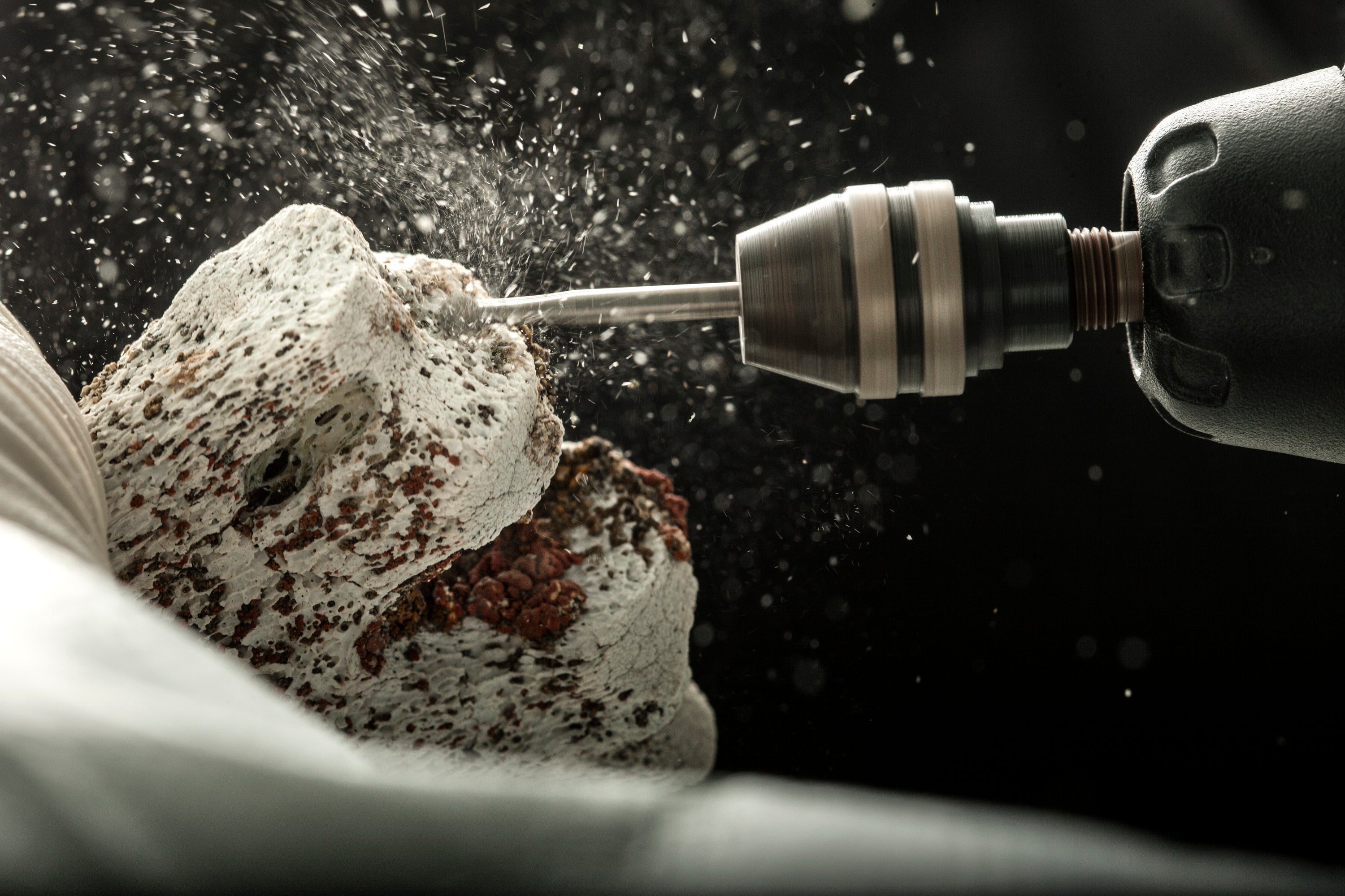 Ancient DNA Multiple Sclerosis