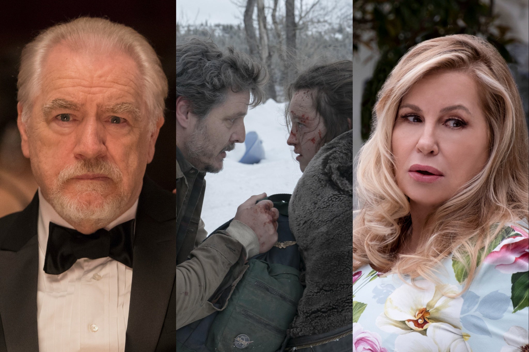 Succession, The Last of Us and The White Lotus are all nominated at the 2024 Emmys