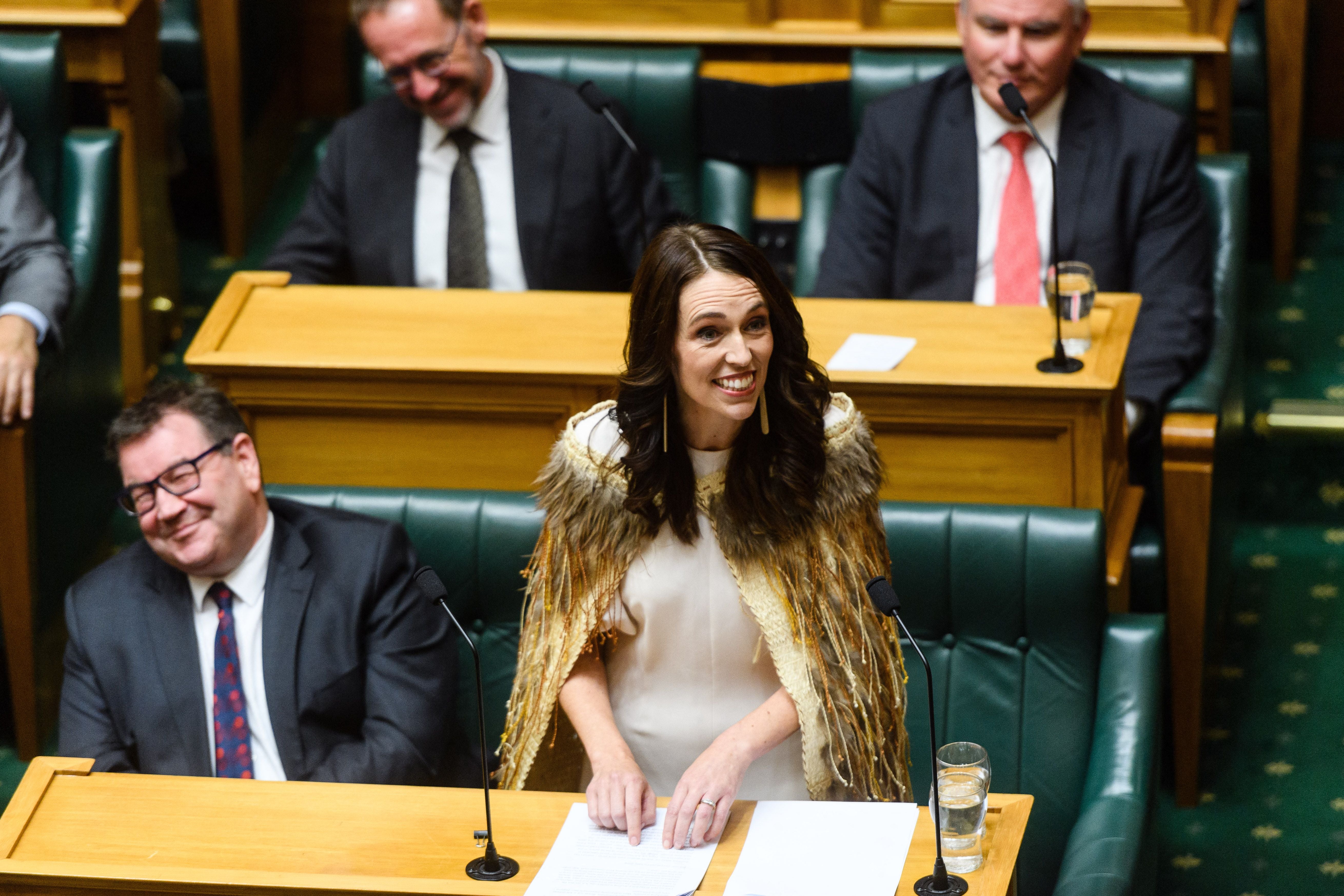 Former New Zealand prime minister Jacinda Ardern provided seed funding for the project through the Matariki Fund