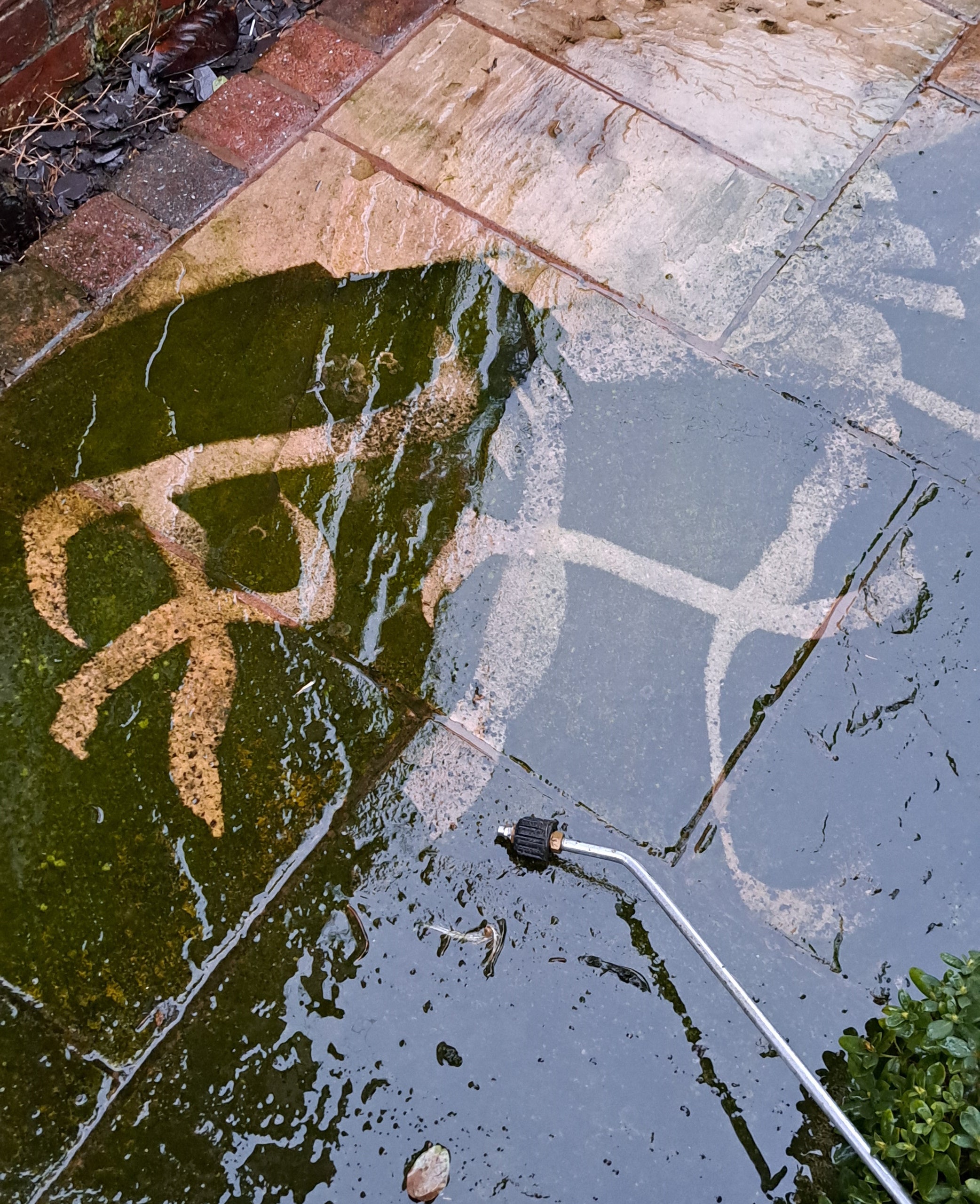 As the temperature dropped outside and the water in the dogs’ bowls froze, I dragged out the heavy-duty pressure washer