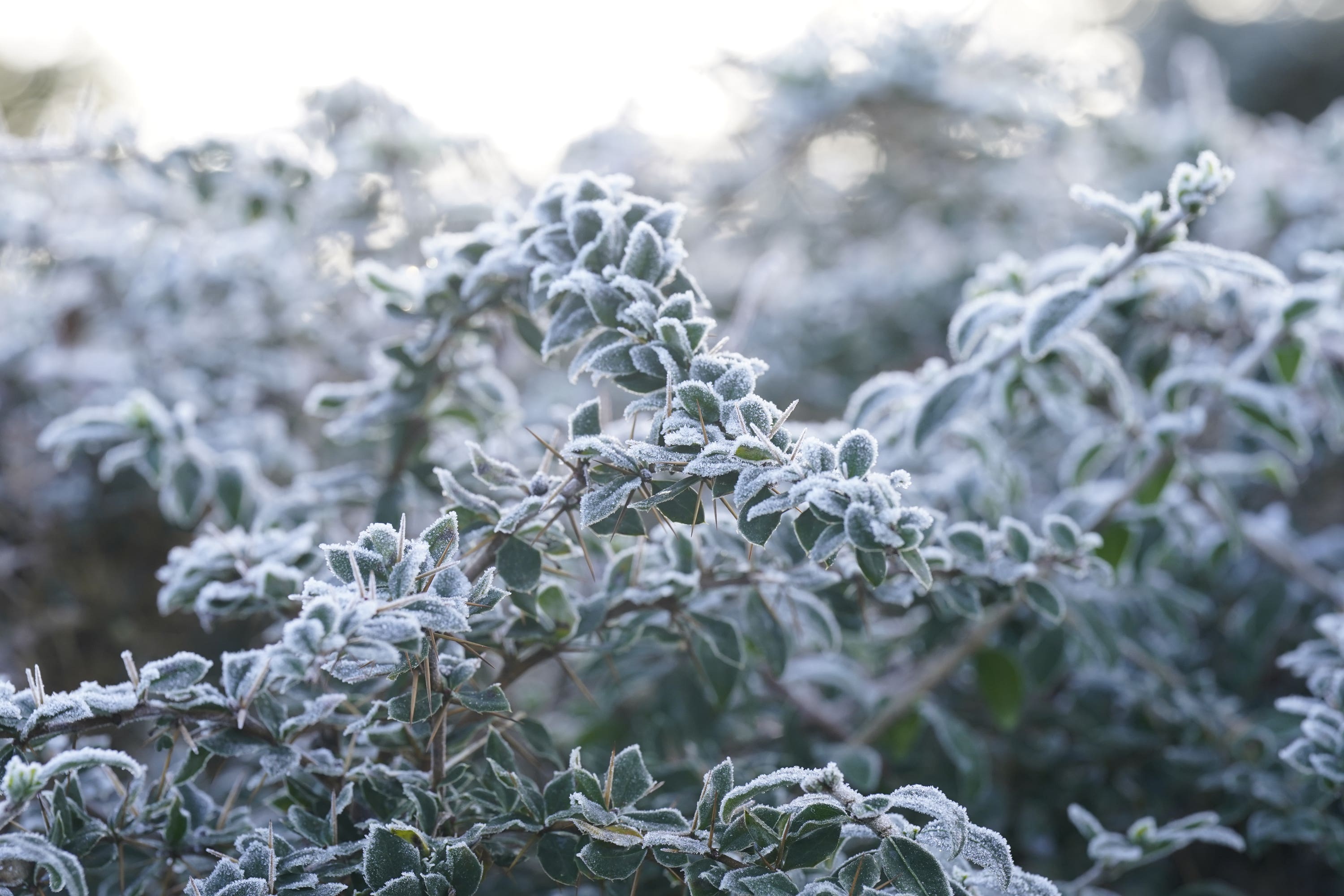 Weather warnings will be in place for the island of Ireland amid plummeting temperatures of minus 4C in parts (Niall Carson/PA)