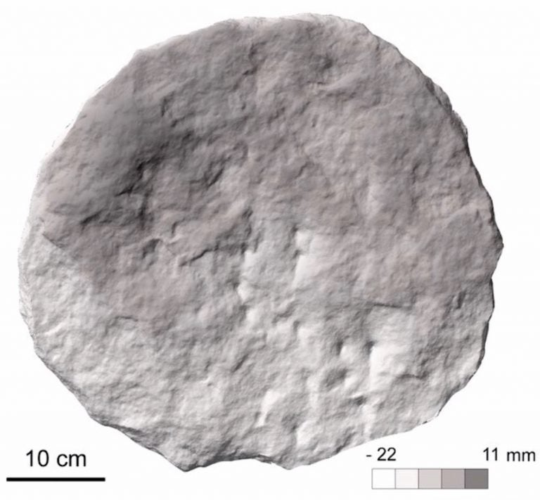 Digital elevation model of the main face (the one with 24 incisions) of the stone analyzed in the study