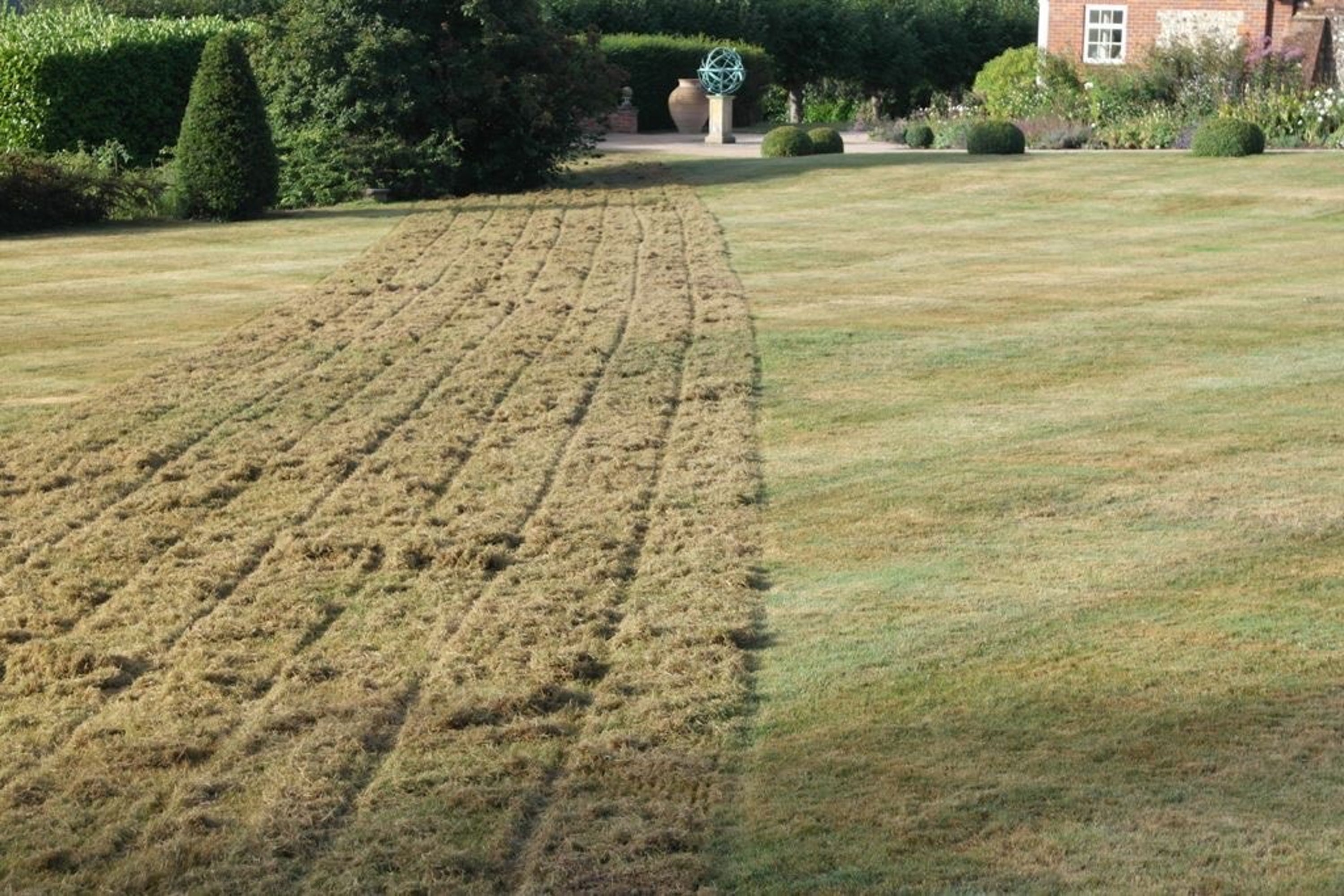 A sacrificed area of lawn