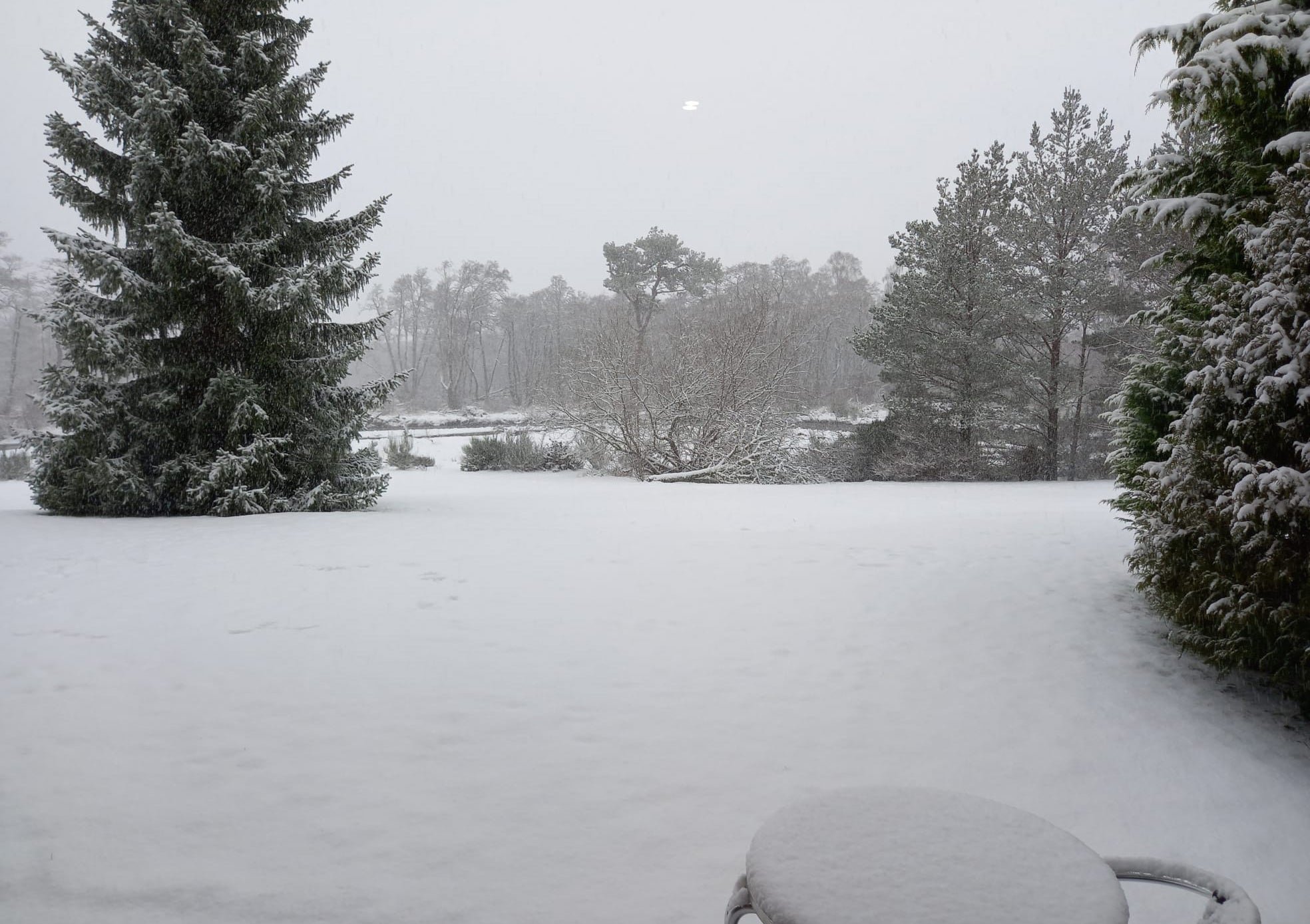 A snowy scene in Aviemore, Scotland - dozens of schools have been forced to close because of the conditions