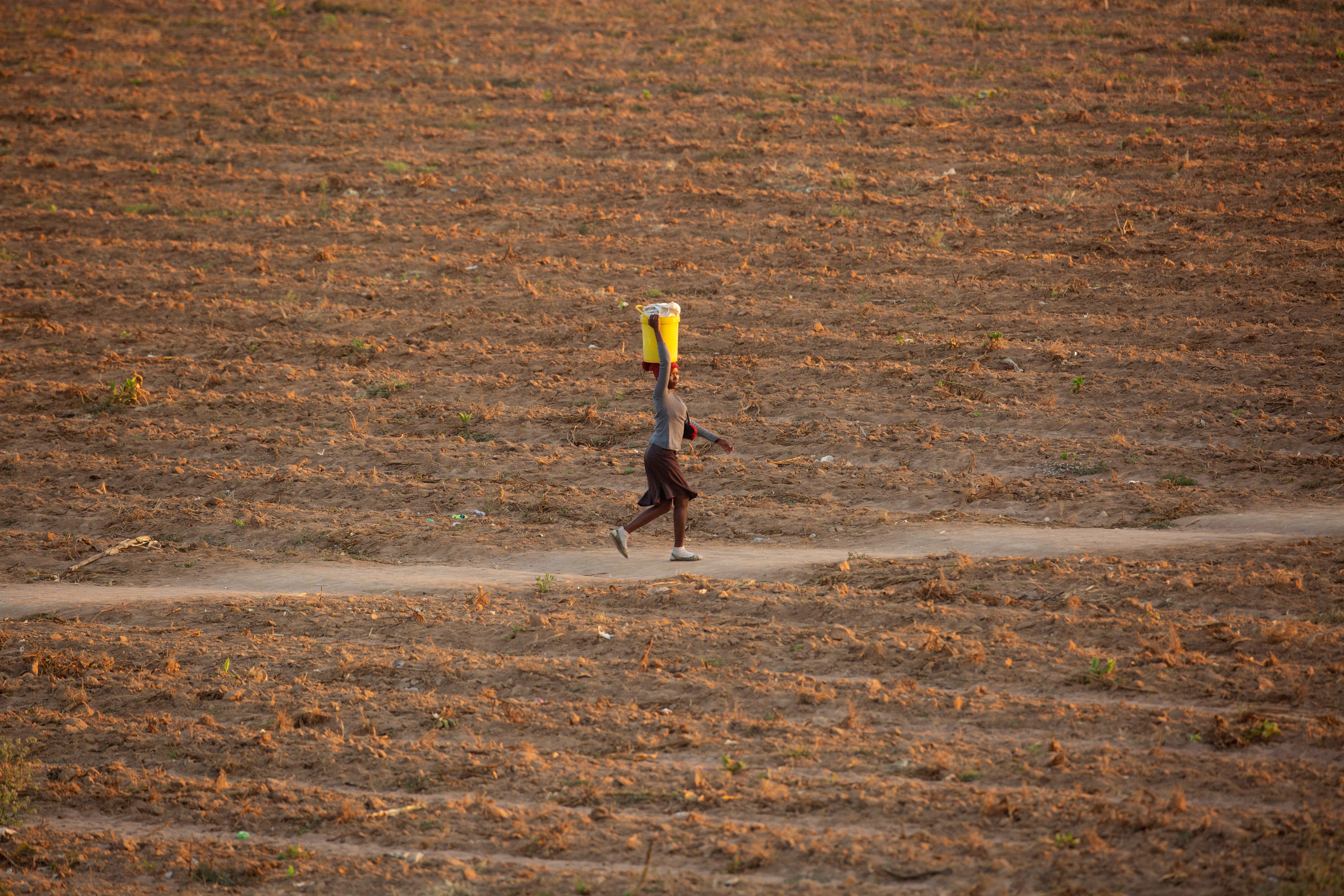 Zimbabwe Food Aid