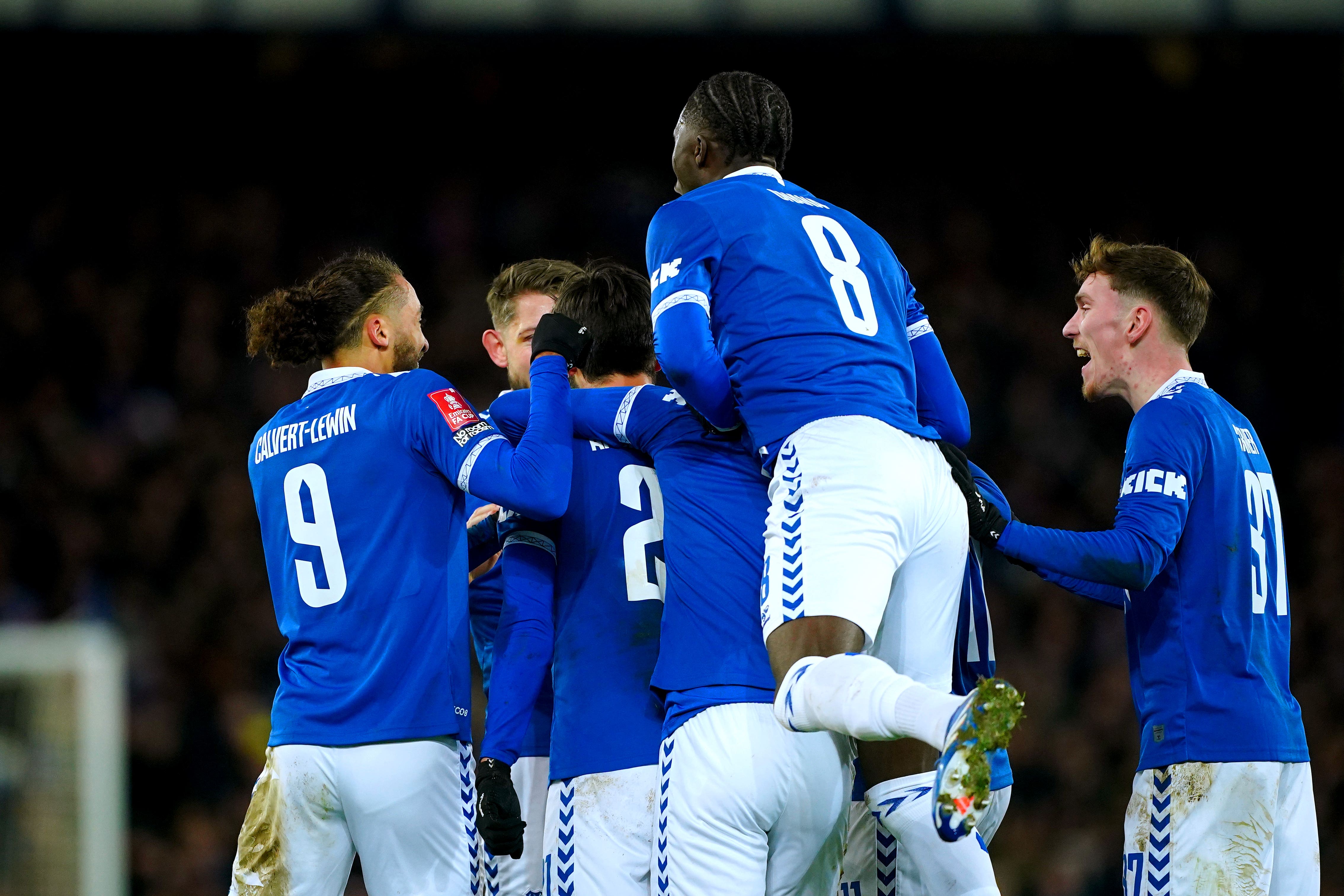 Andre Gomes sent Everton through (Peter Byrne/PA)