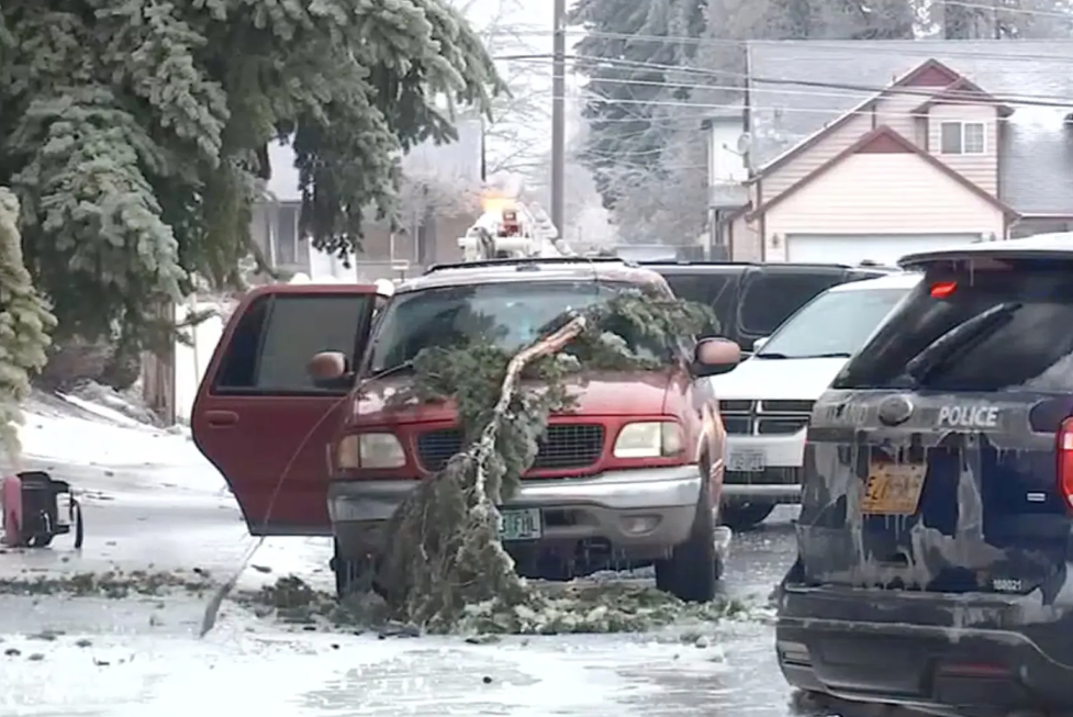 Two adults and a teenager were electrocuted after a tree and a power line fell on a truck in Oregon