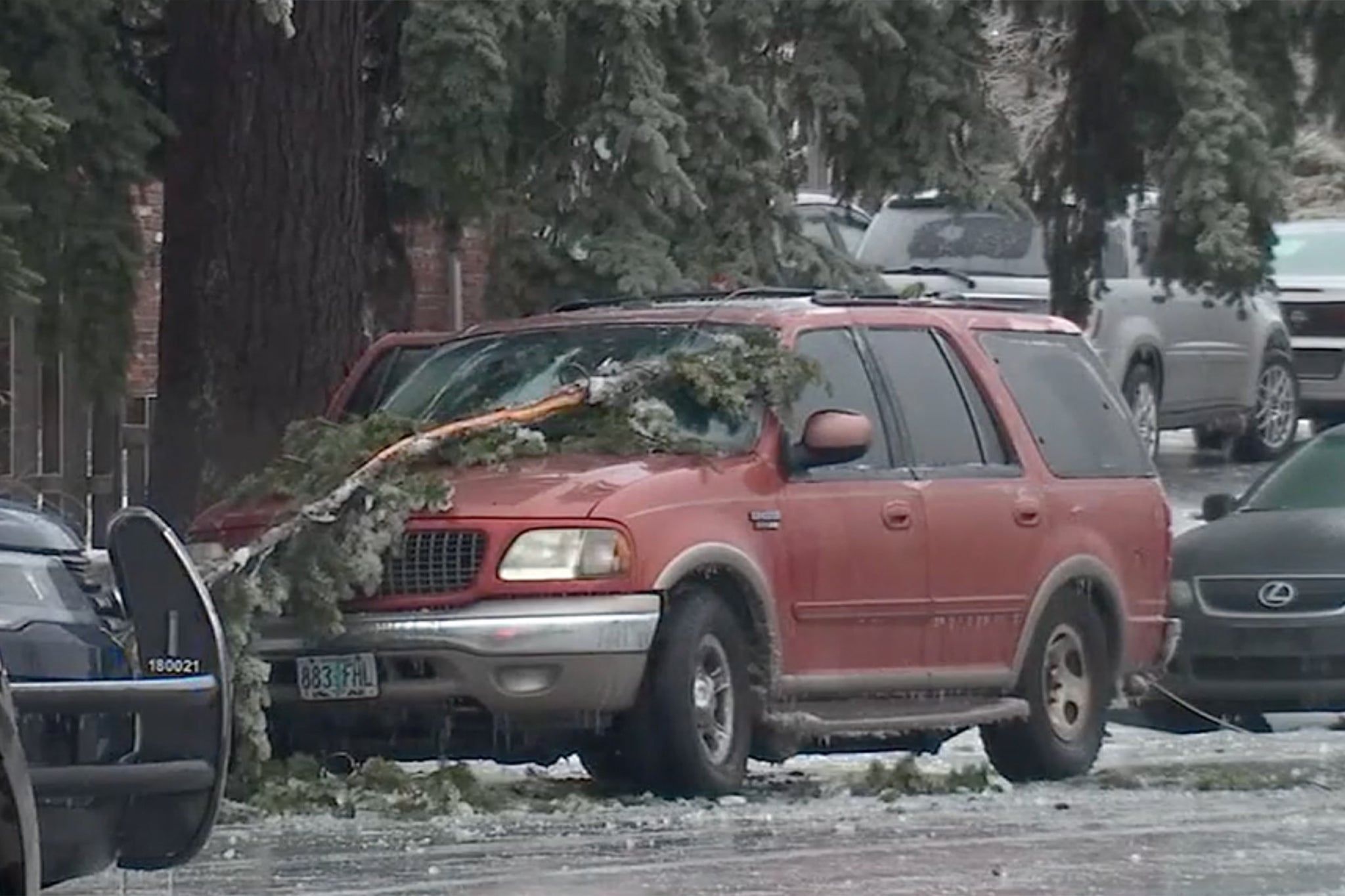 Three people died after a downed power line fell onto their car in Portland, Oregon