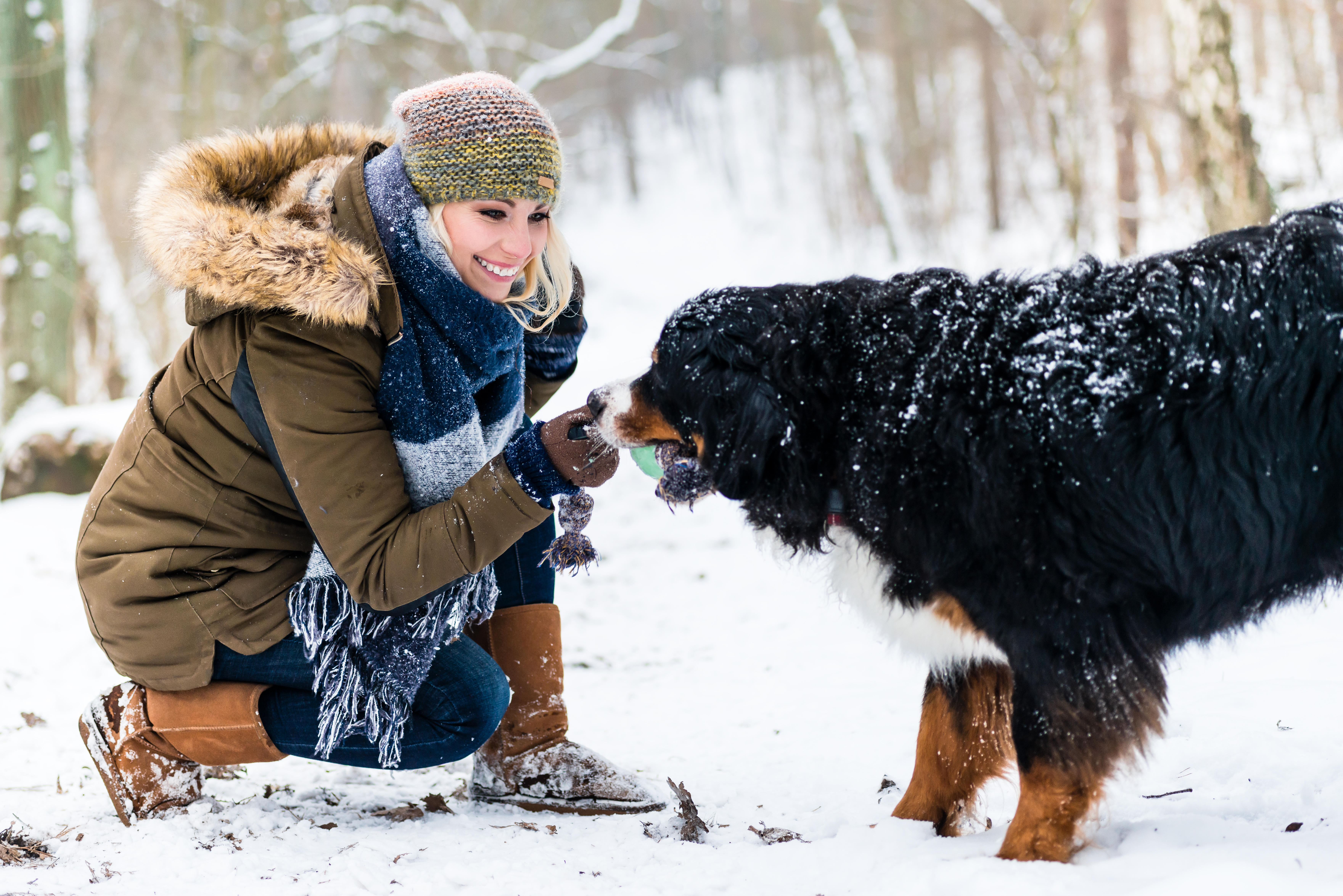 Dogs still need to go outside for their daily walks