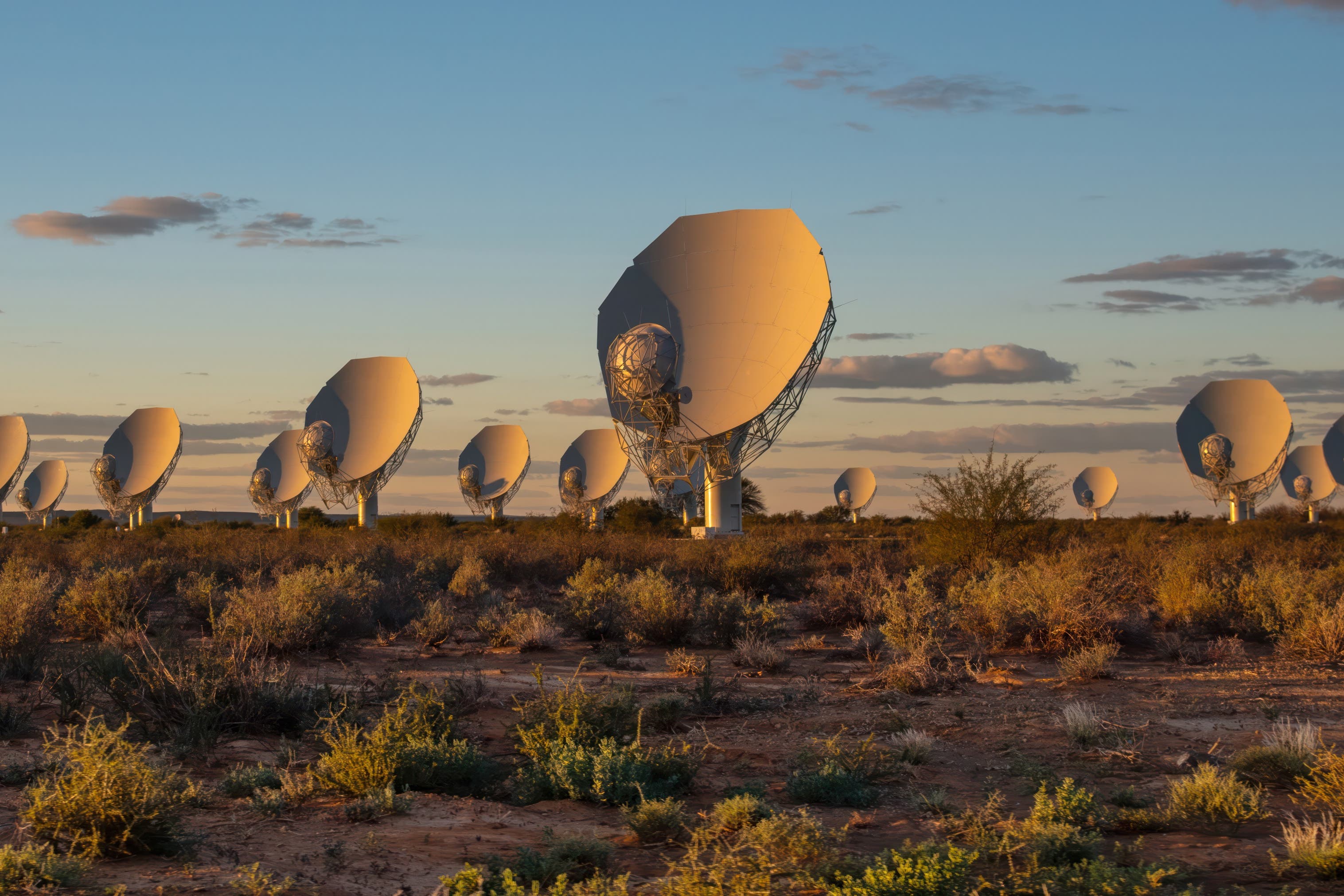 Astronomers have discovered a mysterious object in the Milky Way (South African Radio Astronomy Observatory/PA)