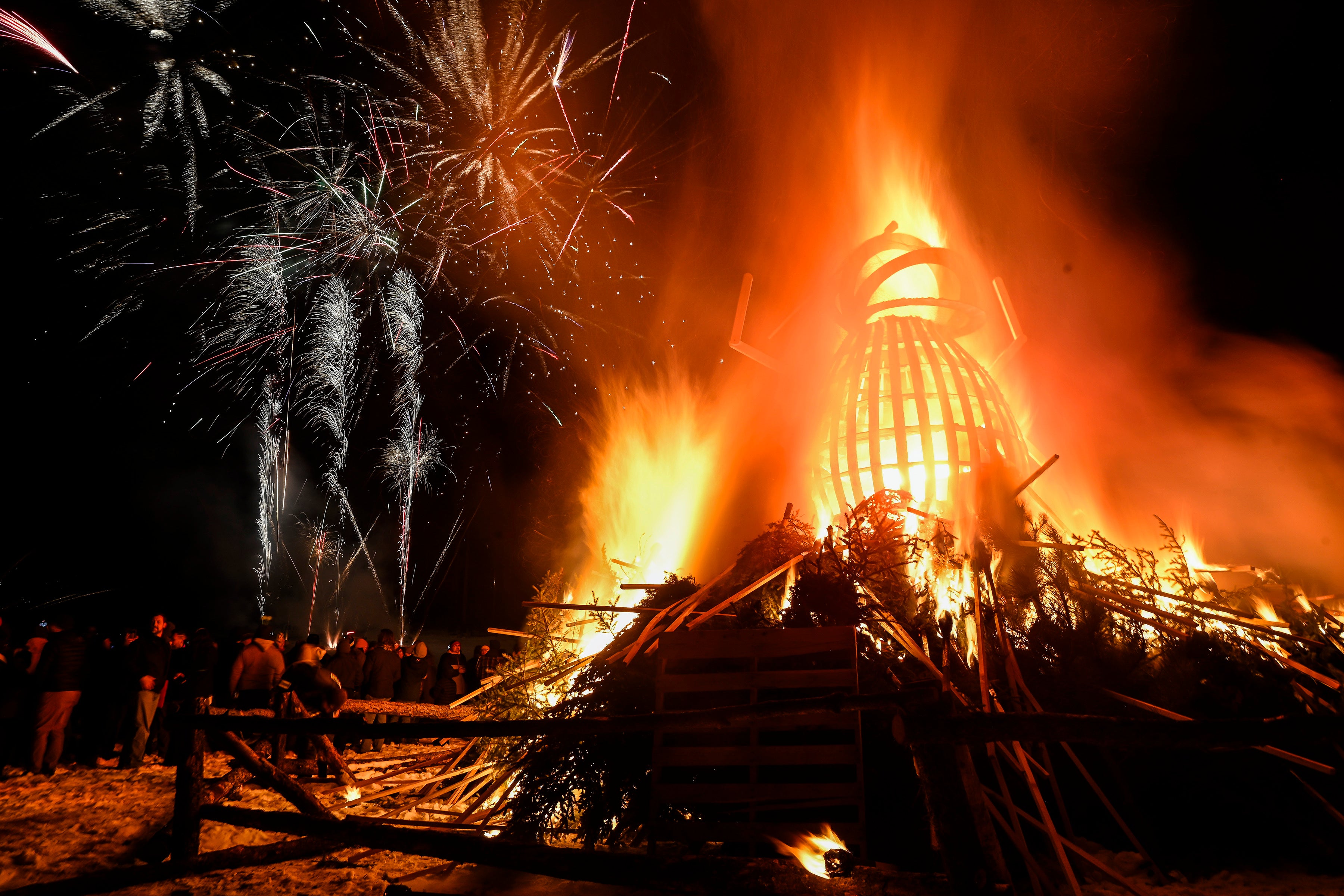 Mountain pine beetle effigy