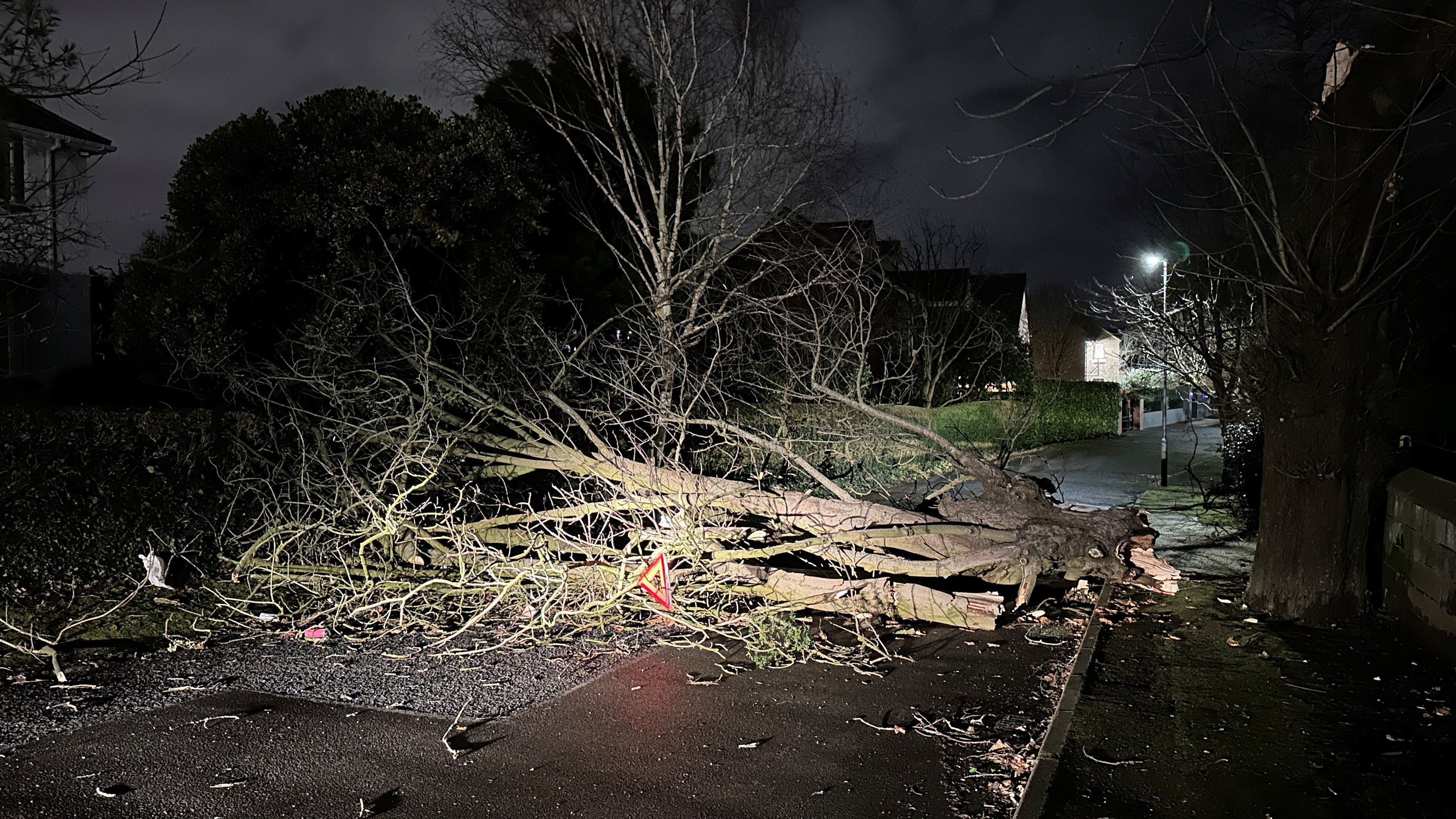 A tree branch fallen on Notting Hill road in south Belfast during Storm Isha (Liam McBurney/PA)