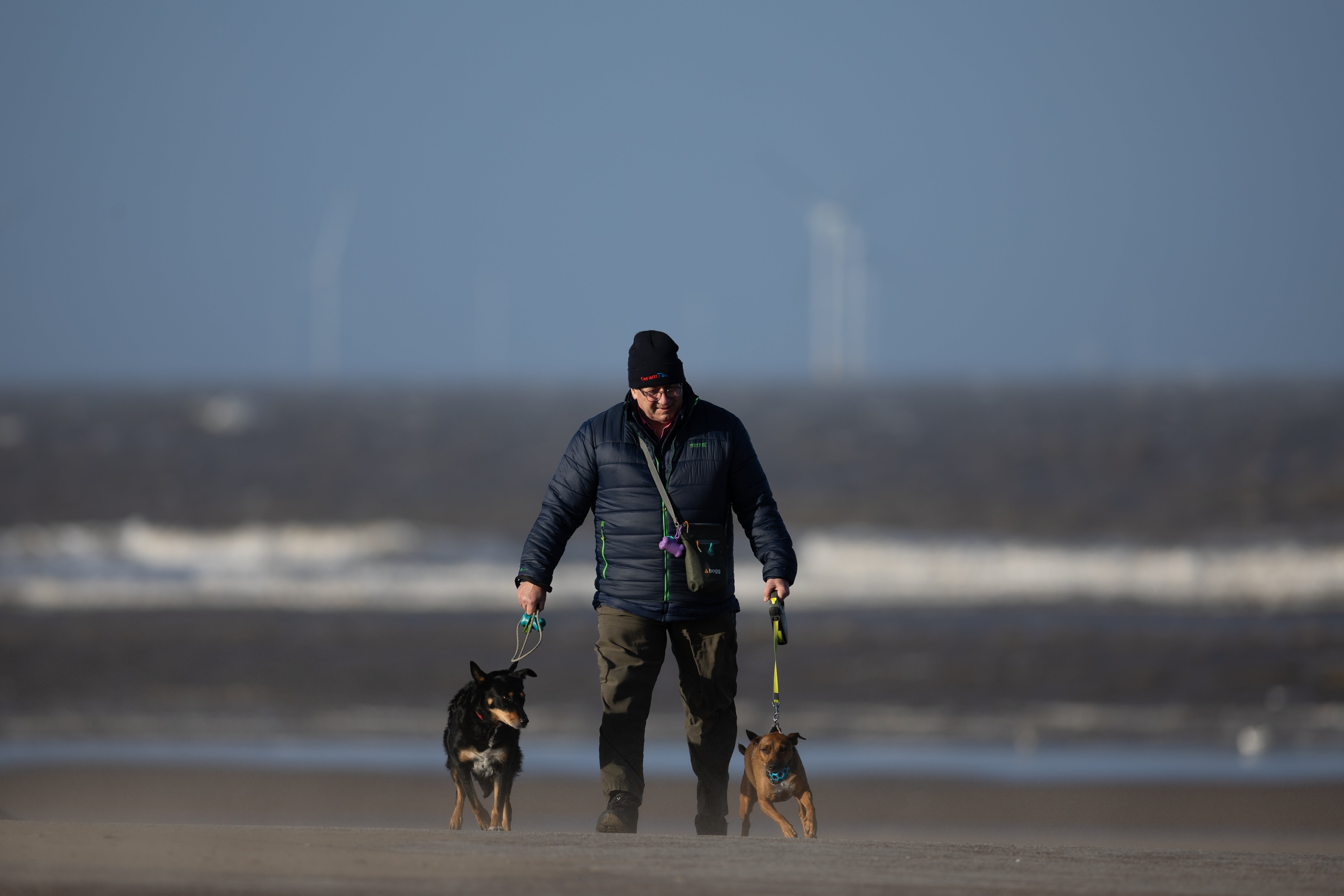 Experts from Raigmore Hospital in Inverness and Sengkang General Hospital in Singapore said that hand and wrist injuries linked to dog walking are an “understudied topic”