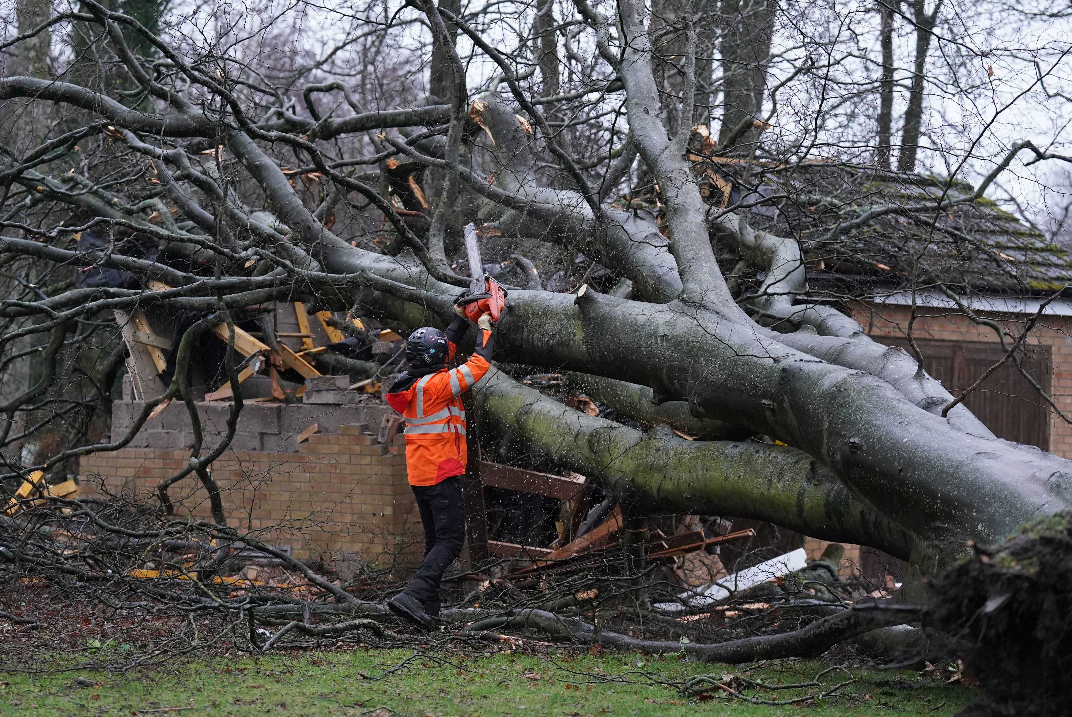 Drivers have been advised to avoid parking underneath or close to trees