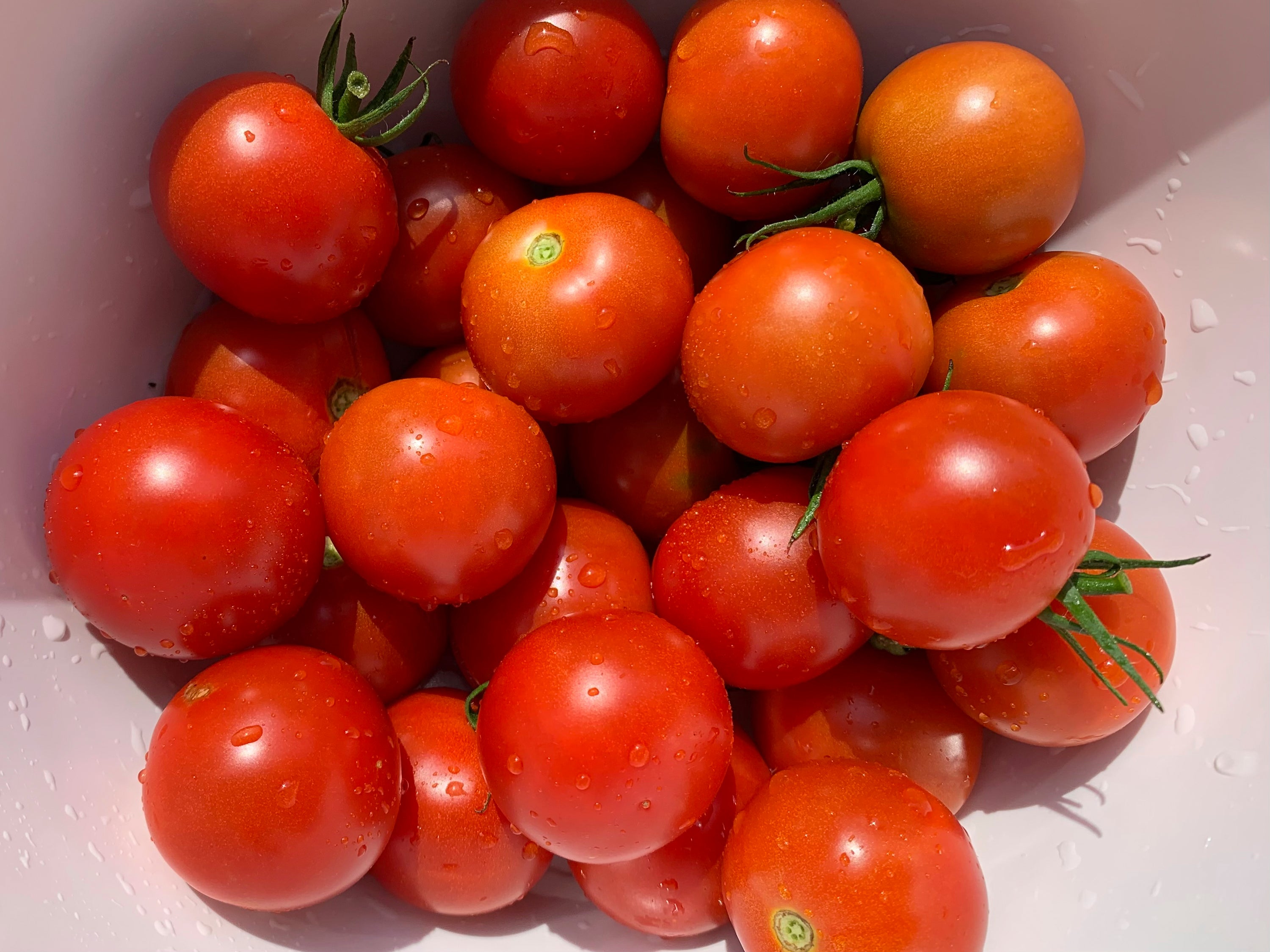 Gardening-Vegetable Plans-Tips