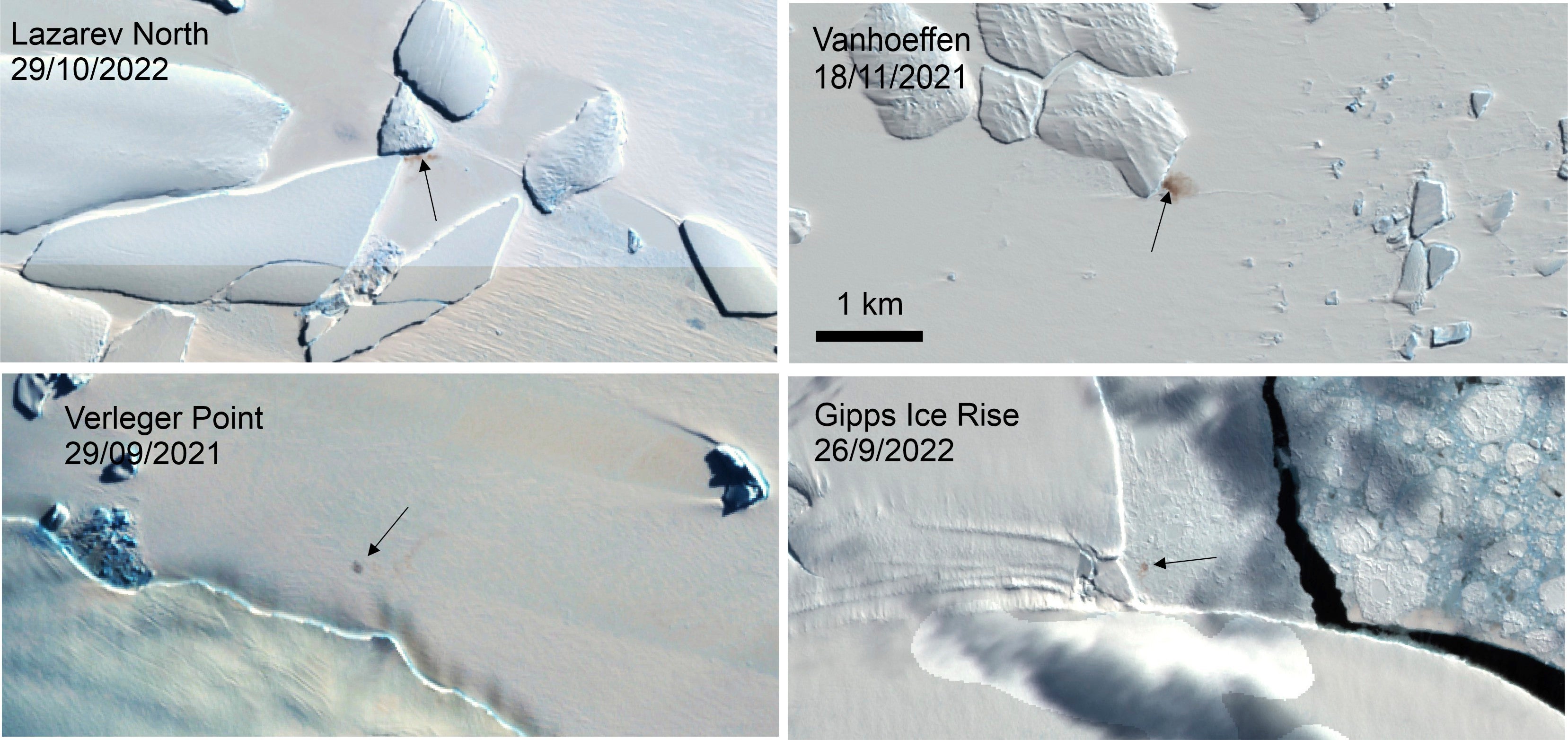 Combination of satellite images shows four new emperor penguin colony sites in Antarctica