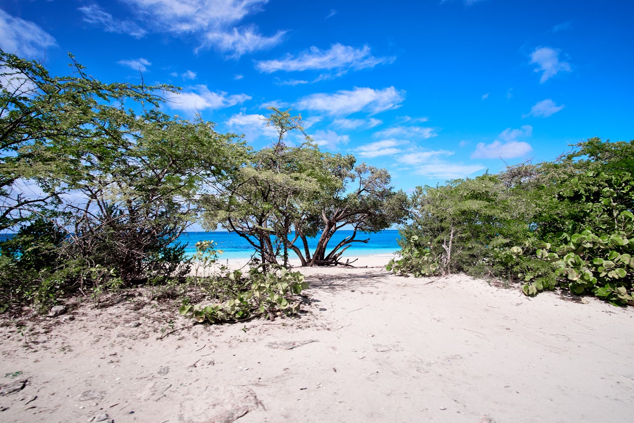 The population of Barbuda hovers around 1,600 people