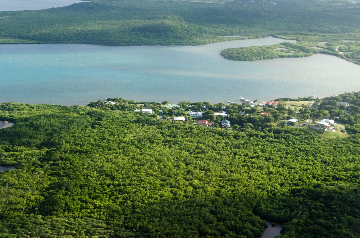 Ziplining is another popular activity in Antigua’s rainforests