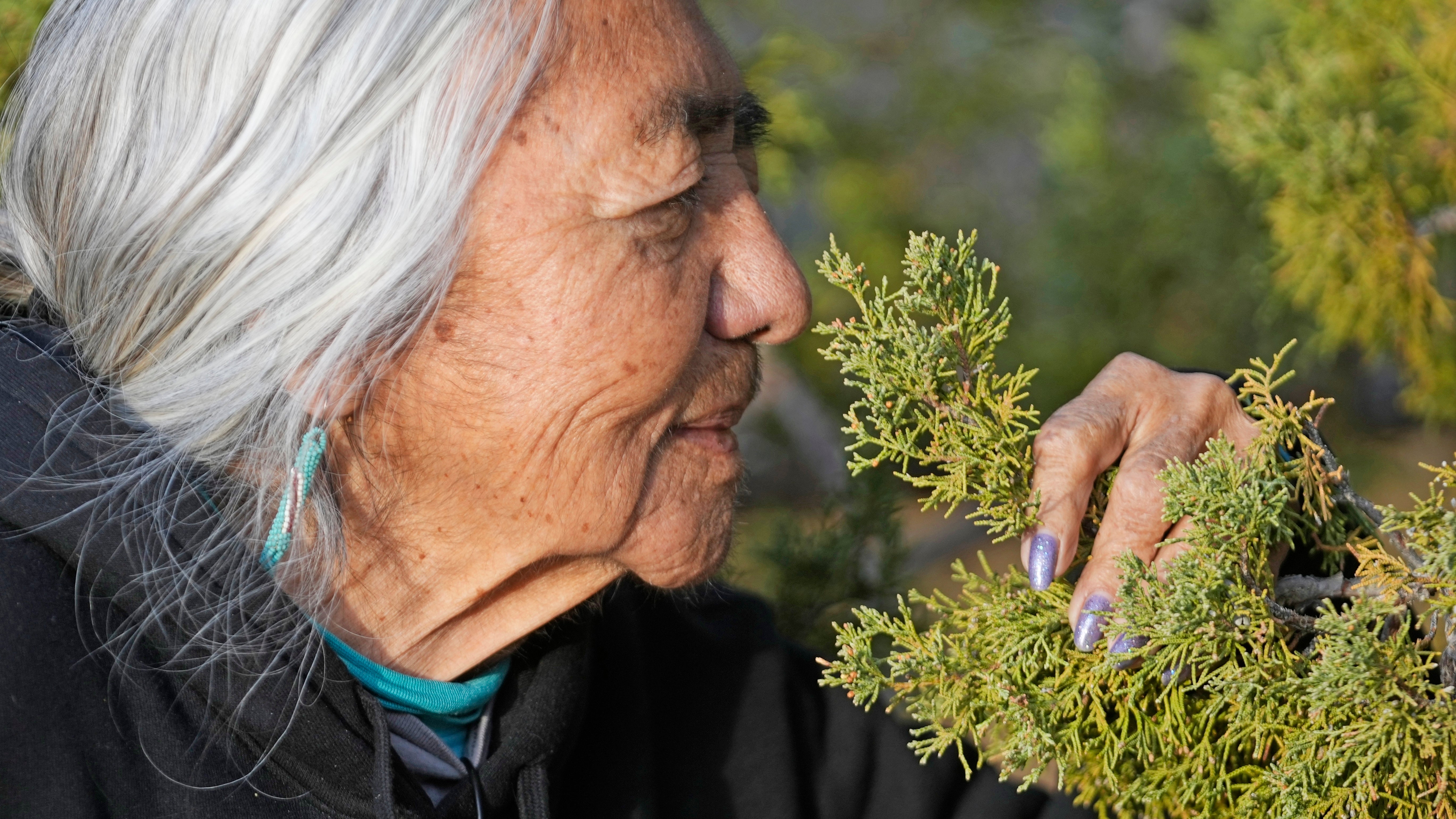 Nevada Massacre Site National Monument