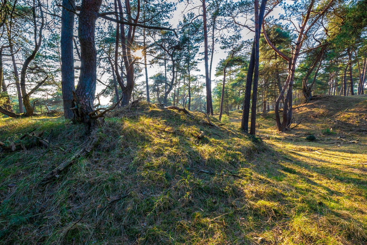 Hoge Veluwe National Park