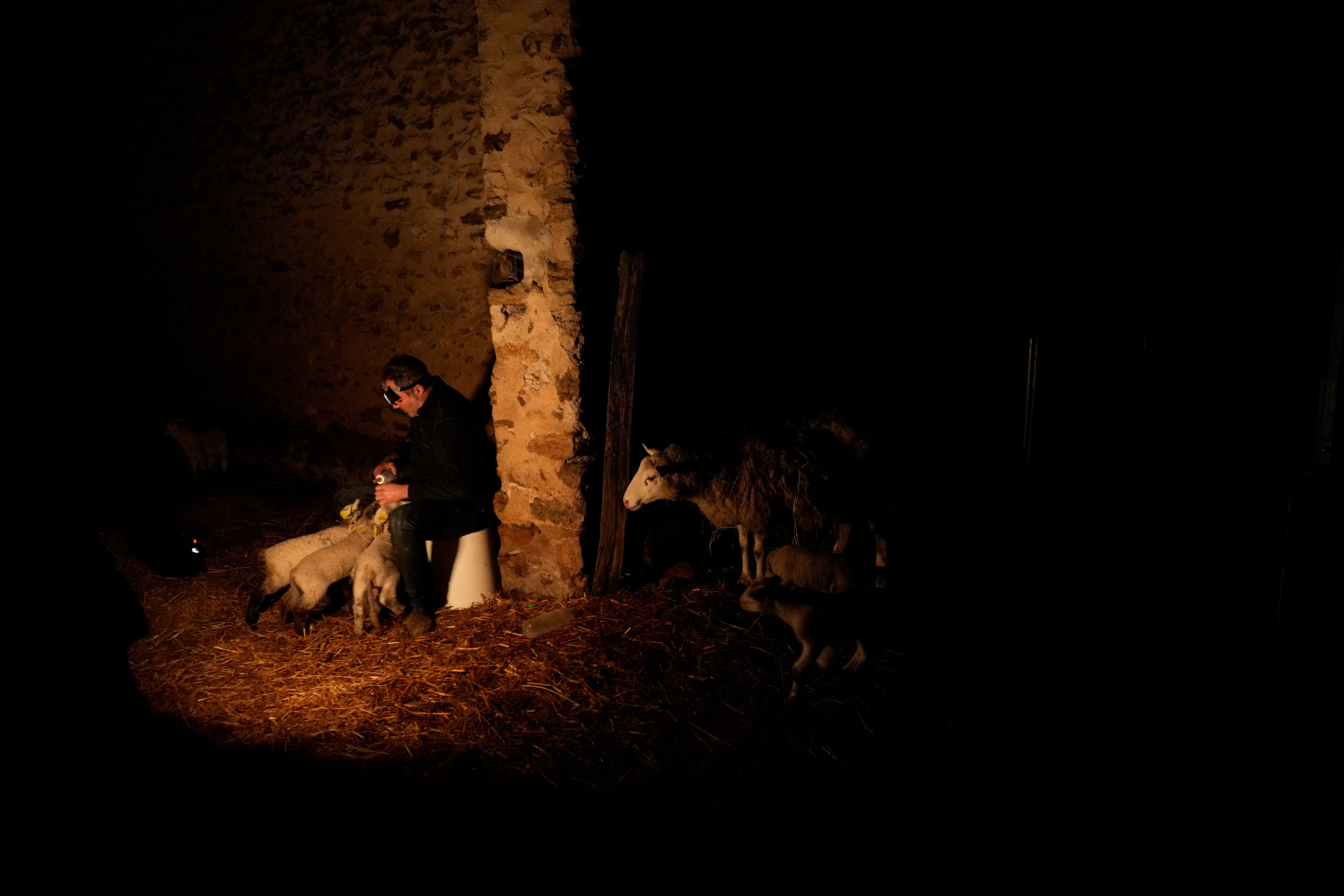Europe Farmer Protests