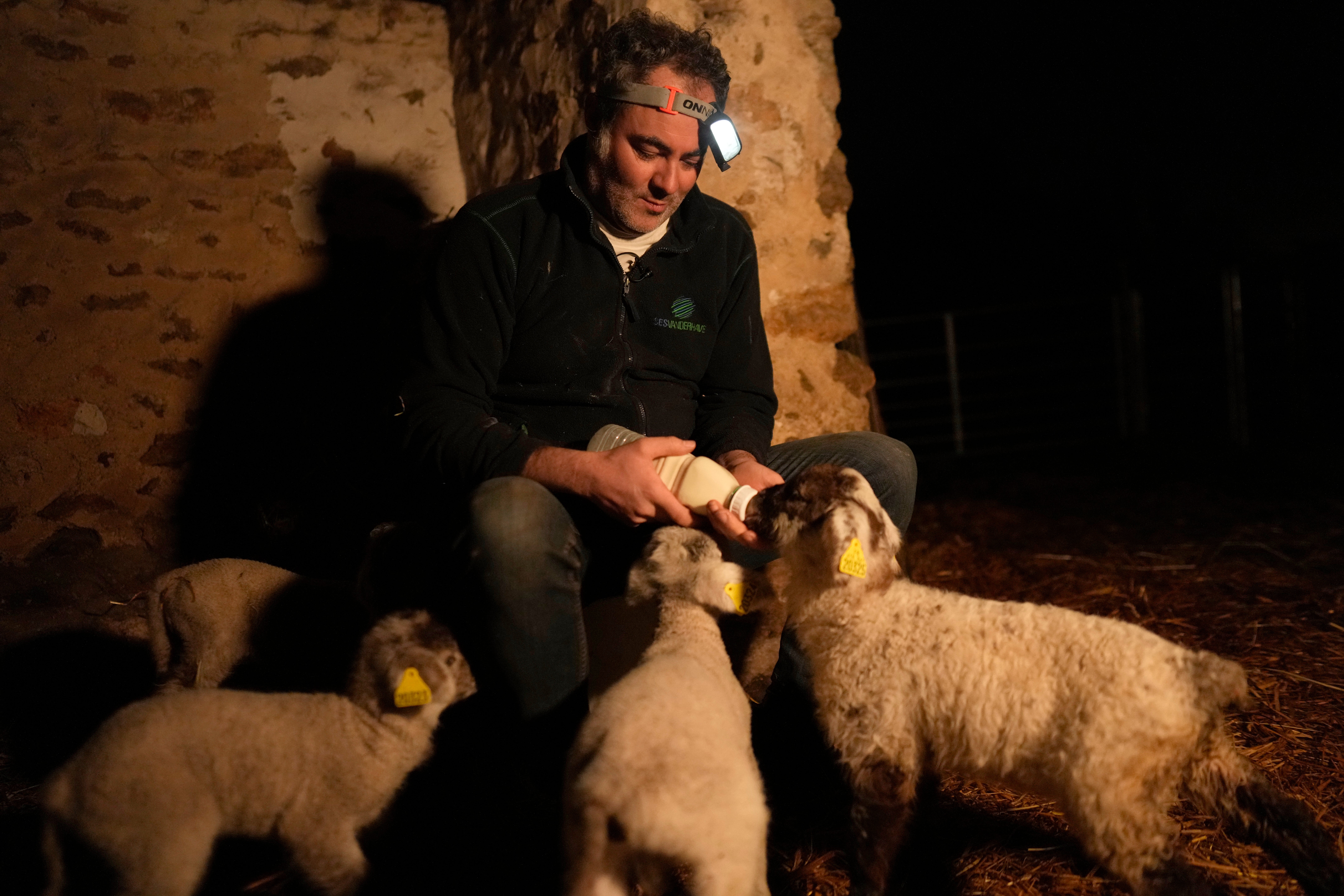 Europe Farmer Protests